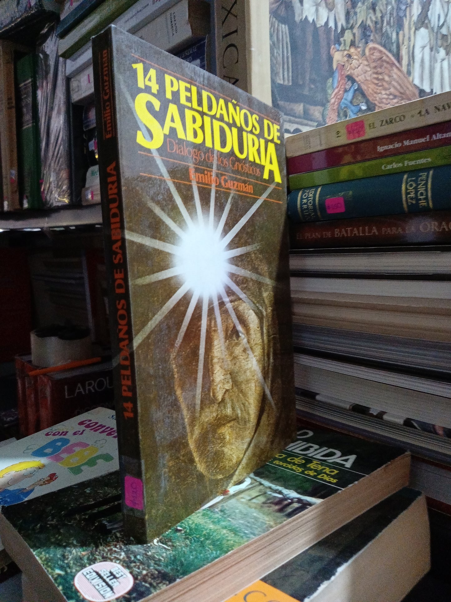 14 PELDAÑOS DE SABIDURIA POR EMILIO GUZMAN USADO SUPERACION PERSONAL JUÁREZ