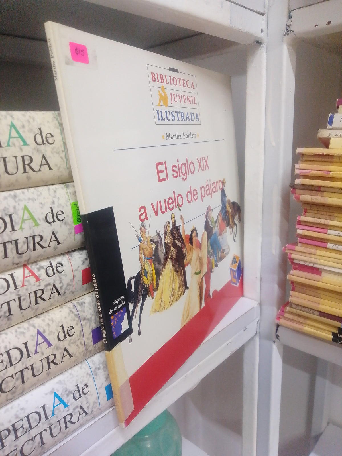 EL SIGLO XIX A VUELO DE PAJAROS, POR MARTHA POBLETT, USADO, INFANTIL, JUAREZ 515