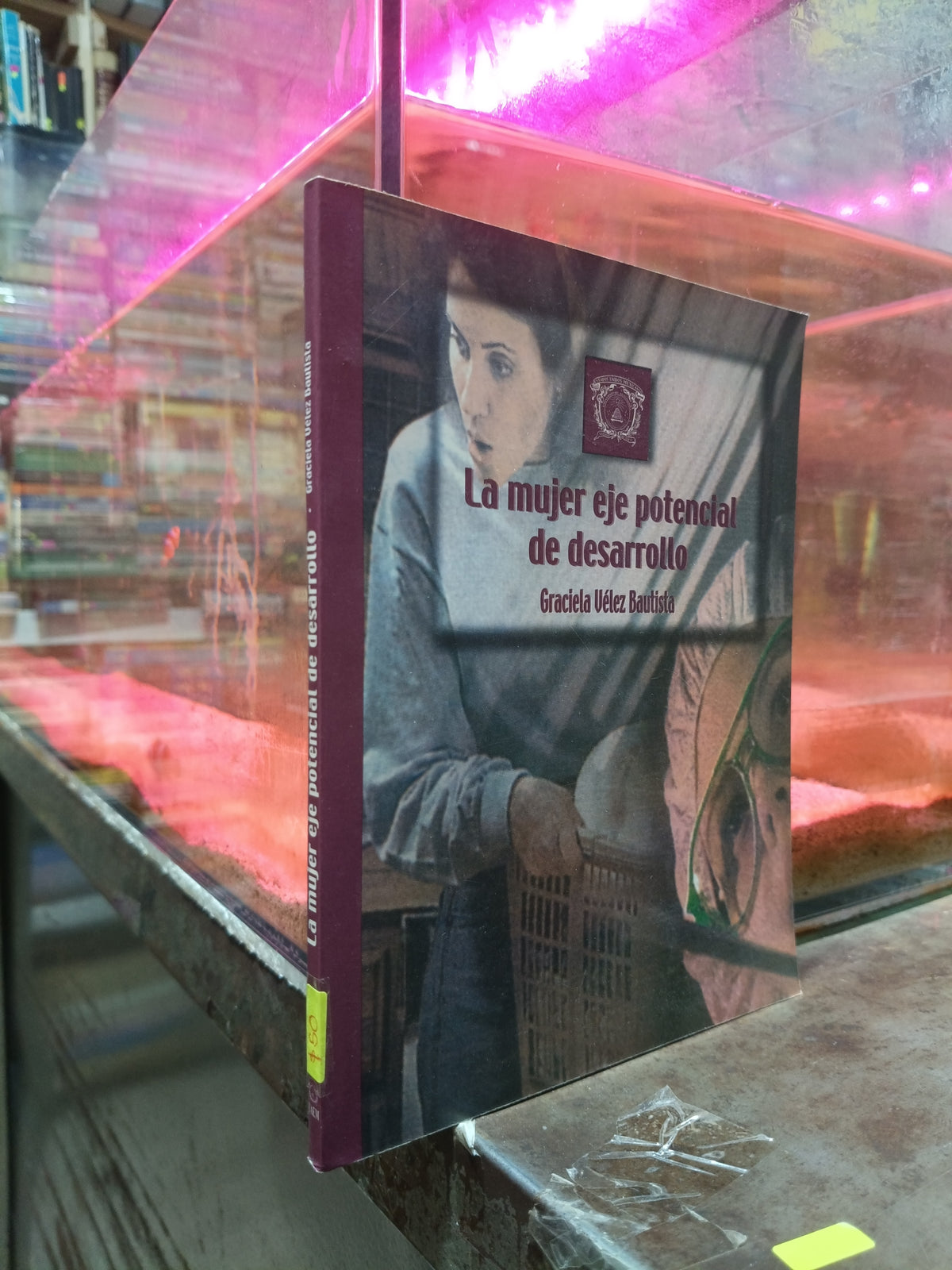 LA MUJER EJE POTENCIAL DE DESARROLLO POR GRACIELA VELEZ BAUTISTA USADO SOCIOLOGIA ALDAMA
