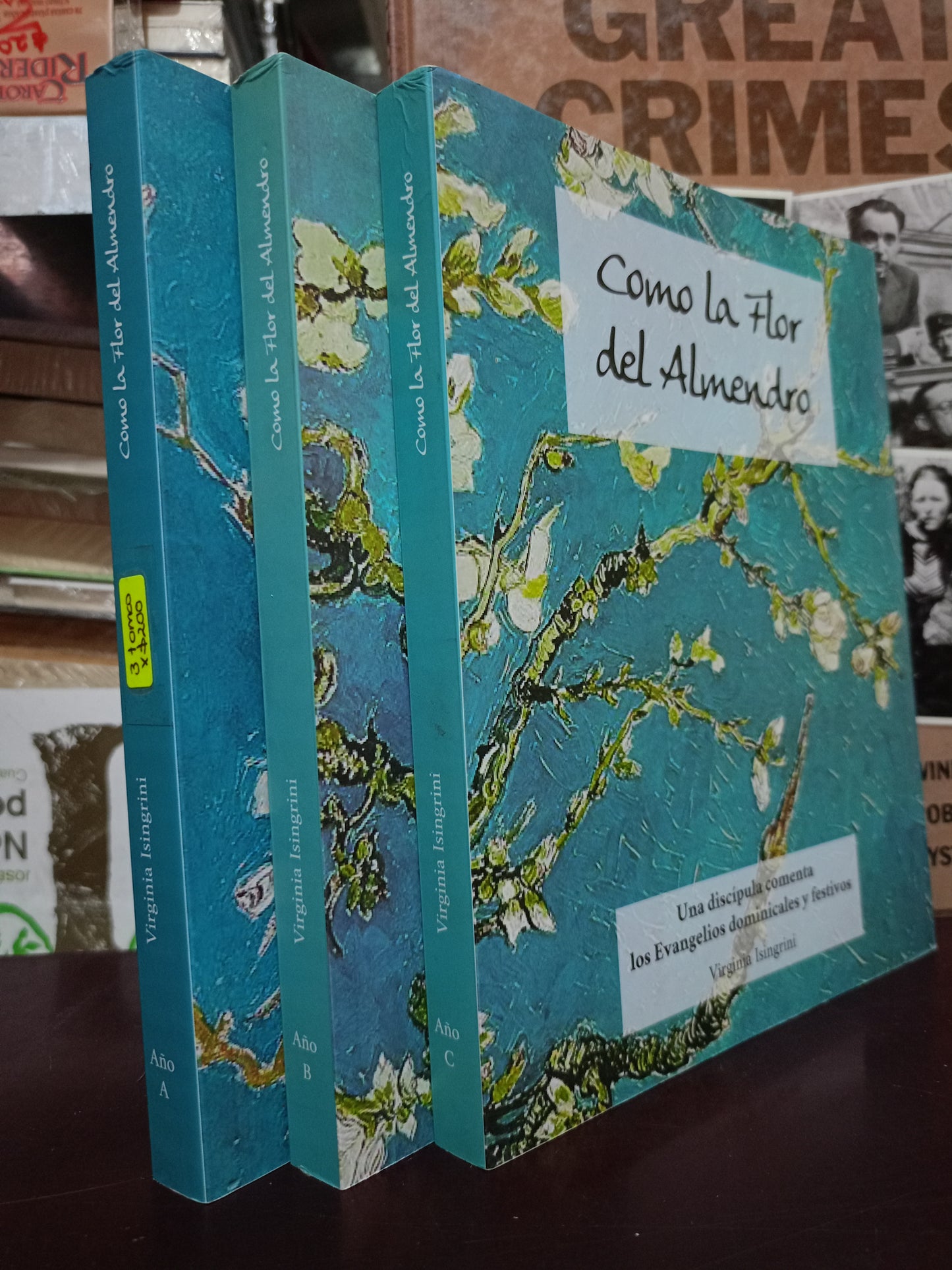 COMO LA FLOR DEL ALMENDRO VIRGINIA ISINGRINI USADO NOVELA LITERARIO 305