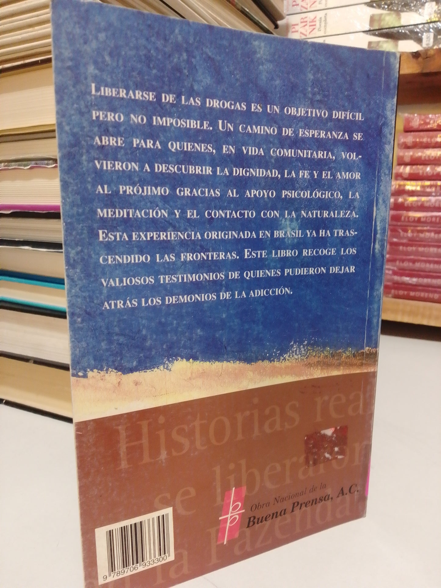 TABEBULAS POR CHRISTINE SUPLICY TEIXEIRA USADO SUP.PERSONAL JUAREZ