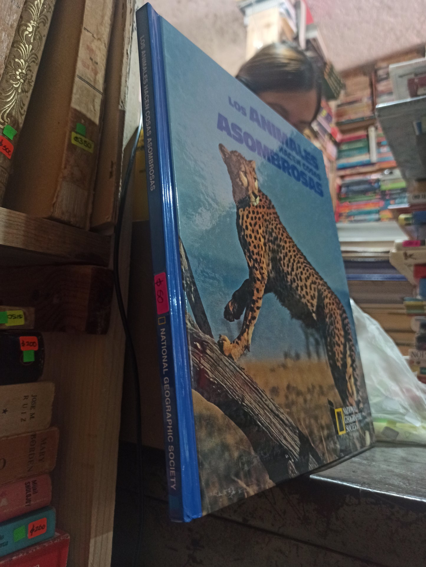 LOS ANIMALES HACEN COSAS ASOMBROSAS POR NATIONAL GEOGRAPHIC USADO BIOLOGIA ALDAMA