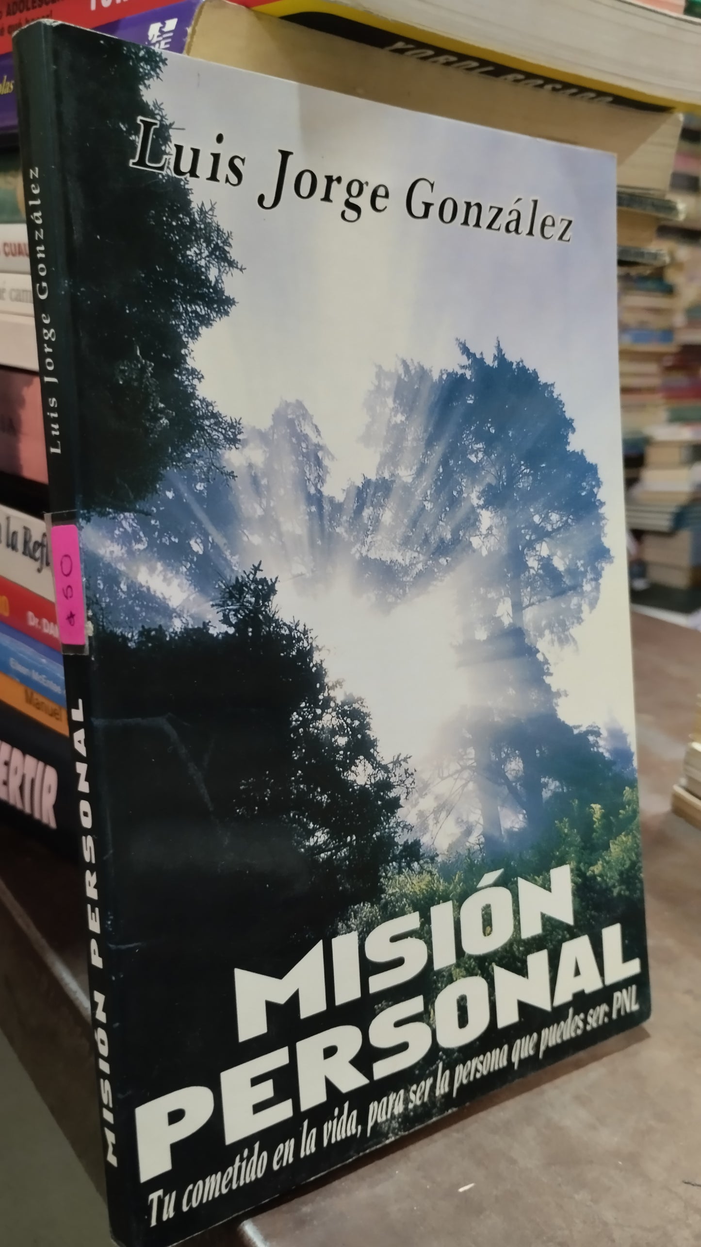 MISION PERSONAL POR LUIS JORGE GONZALEZ LIBRO USADO SUPERACION PERSONAL ALDAMA