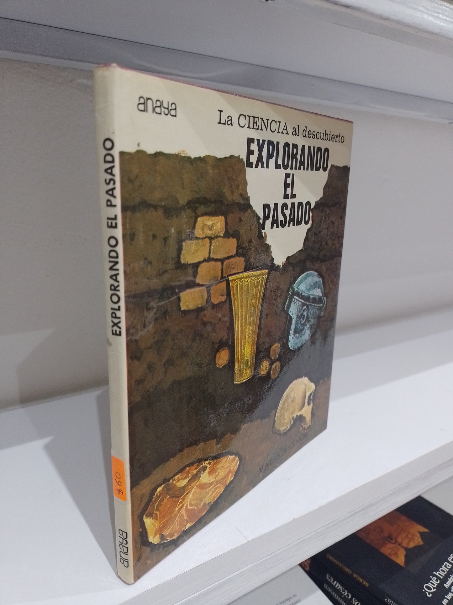 EXPLORANDO EL PASADO POR VALERIE LYNCH USADO HISTORIA JUAREZ 515