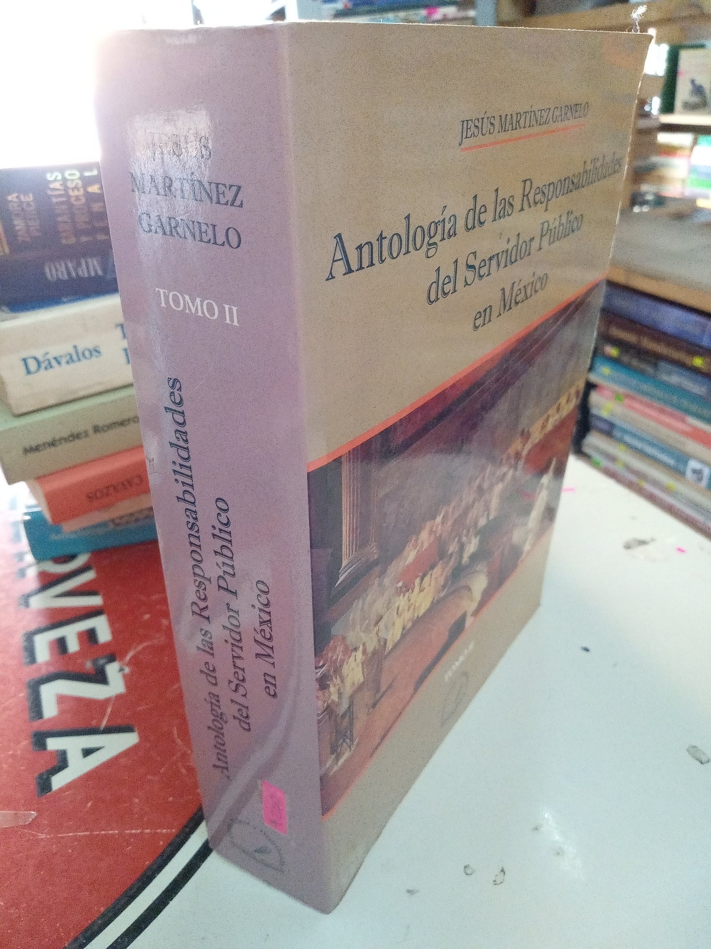 ANTOLOGIA DE LAS RESPONSABILIDADES DEL SERVIDOR PUBLICO EN MEXICO POR JESUS MARTINEZ GARNELO USADO DERECHO LITERARIO 207