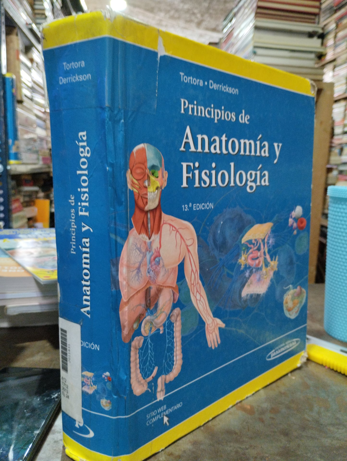 PRINCIPIOS DE ANATOMIA Y FISIOLOGIA 13ª EDICION POR TORTORA DERRICKSON USADO SALUD ALDAMA