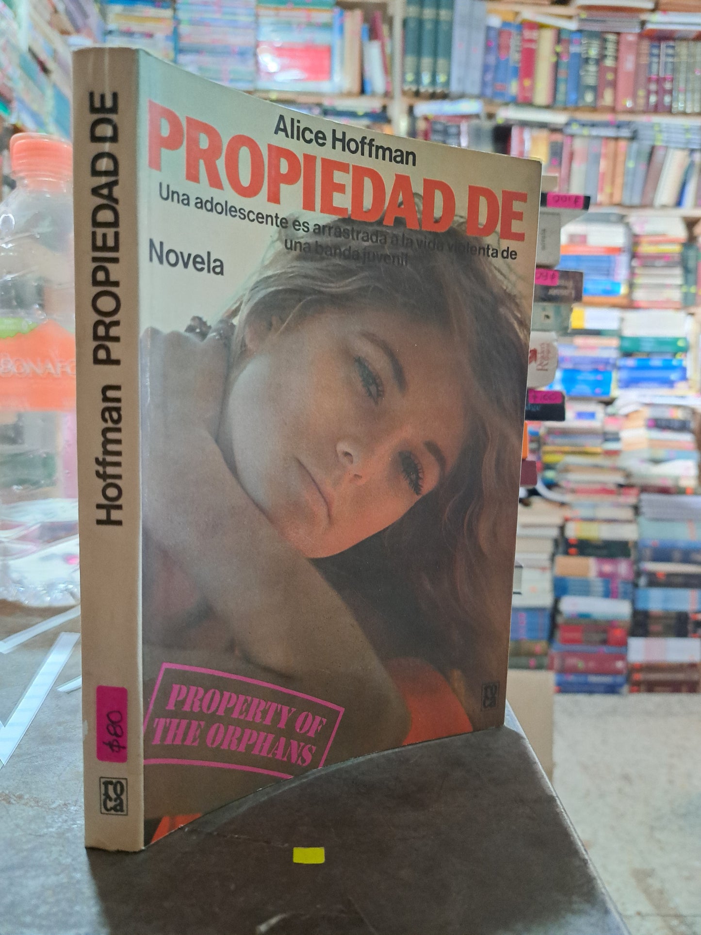 PROPIEDAD DE ALICE HOFFMAN USADO NOVELA ALDAMA