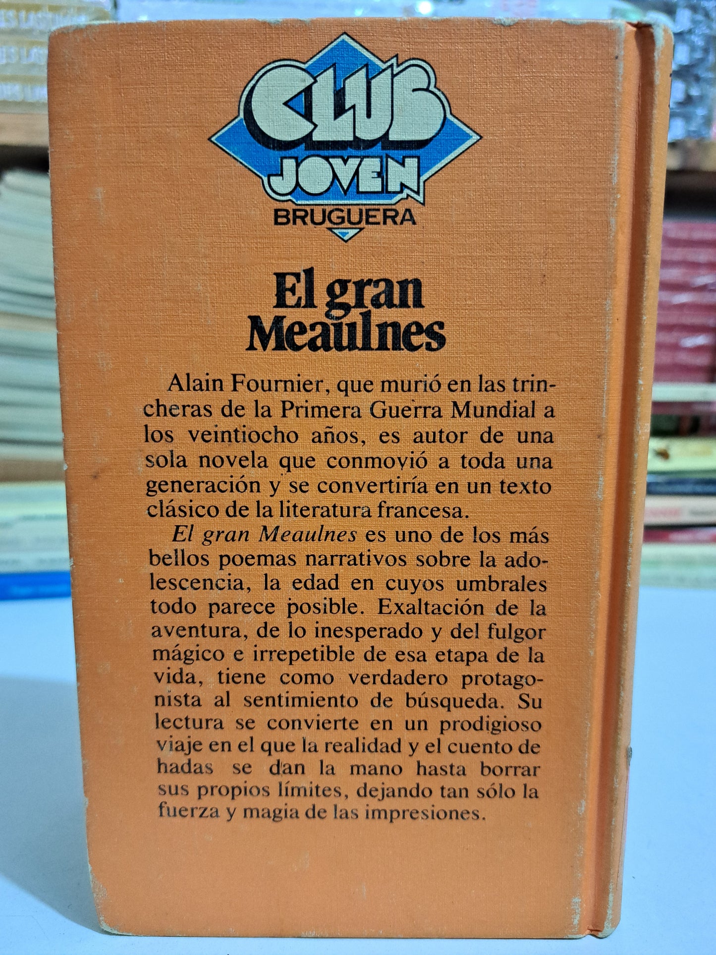 EL GRAN MEAULNES  ALAIN FOURNIER USADO NOVELA JUÁREZ