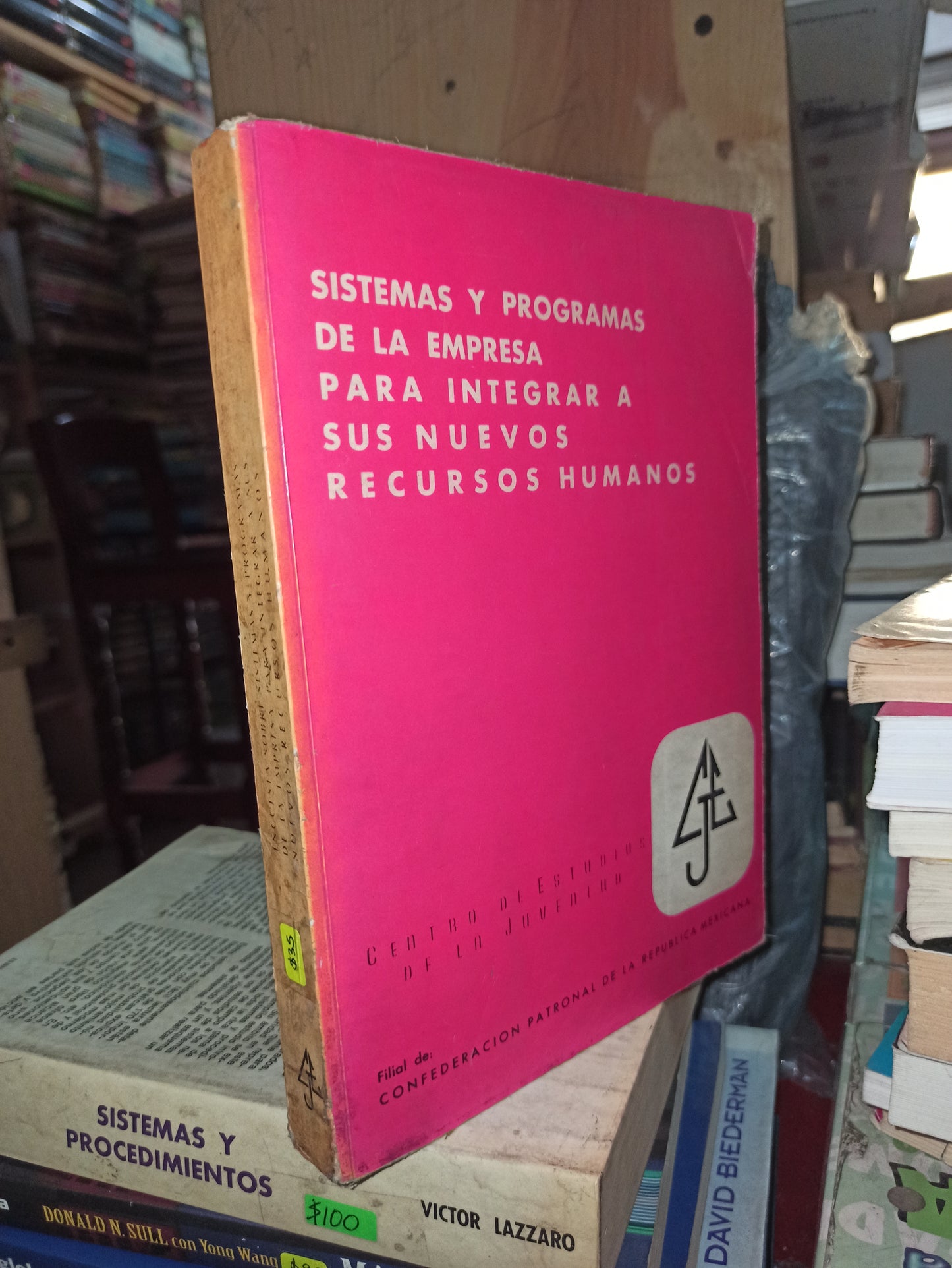 SISTEMAS Y PROGRAMAS DE LA EMPRESA PARA INTEGRAR A SUS NUEVOS RECURSOS HUMANOS POR CENTRO DE ESTUDIOS DE LA JUVENTUD USADO ADMINISTRACIÓN LITERARIO 207