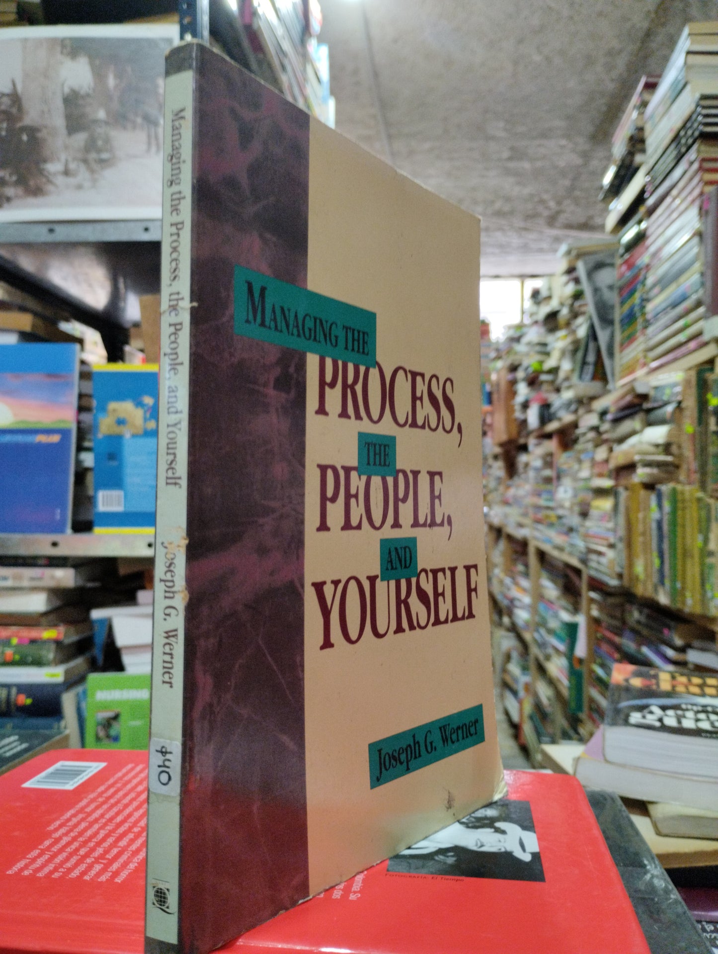 MANAGING THE PROCESS, THE PEOPLE AND YOURSELF POR JOSEPH G. WERNER USADO IDIOMAS ALDAMA