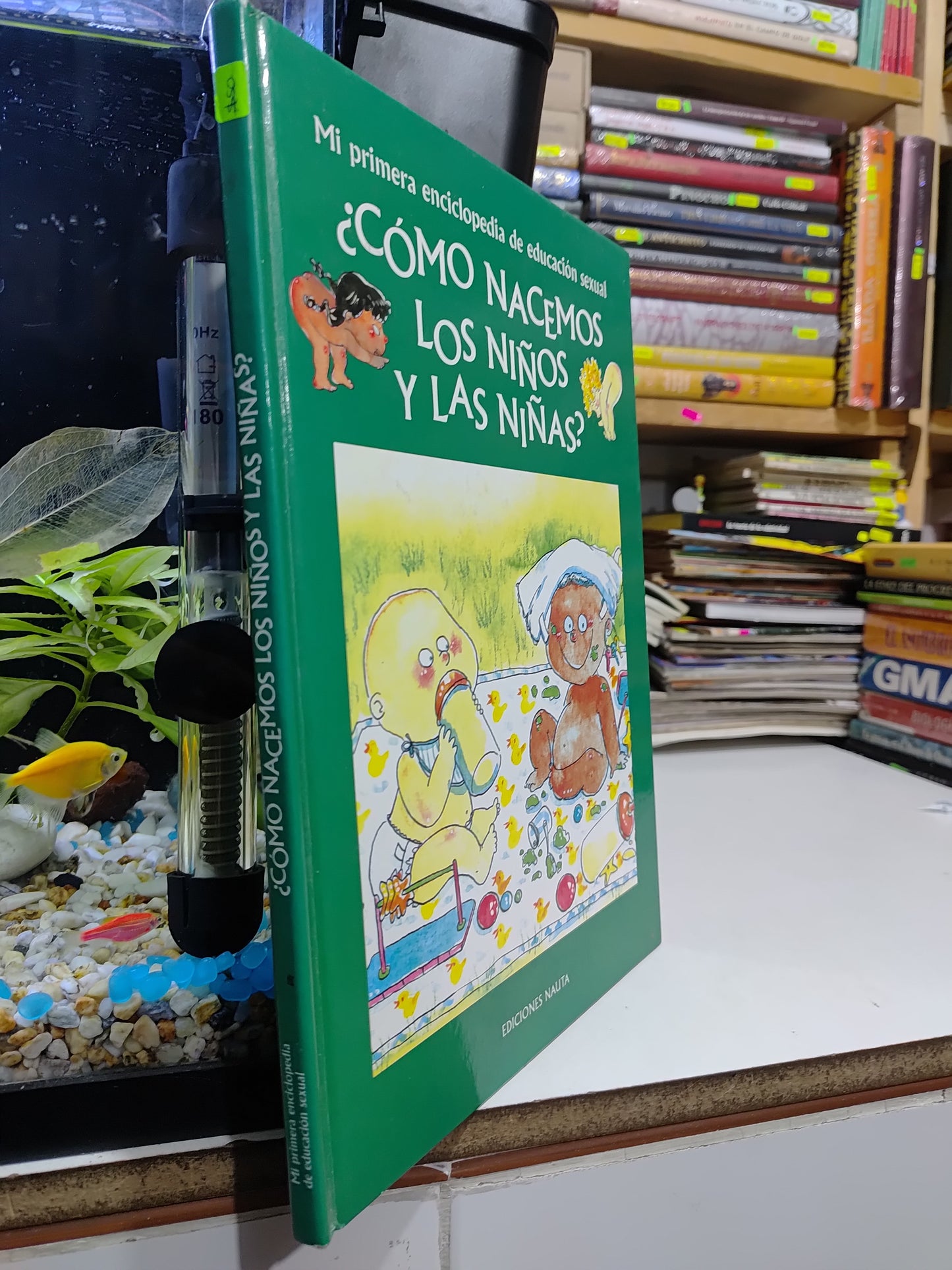 ¿COMO NACEMOS LOS NIÑOS Y LAS NIÑAS? POR EDITORIAL NAUTA USADO PSICOLGIA JUAREZ