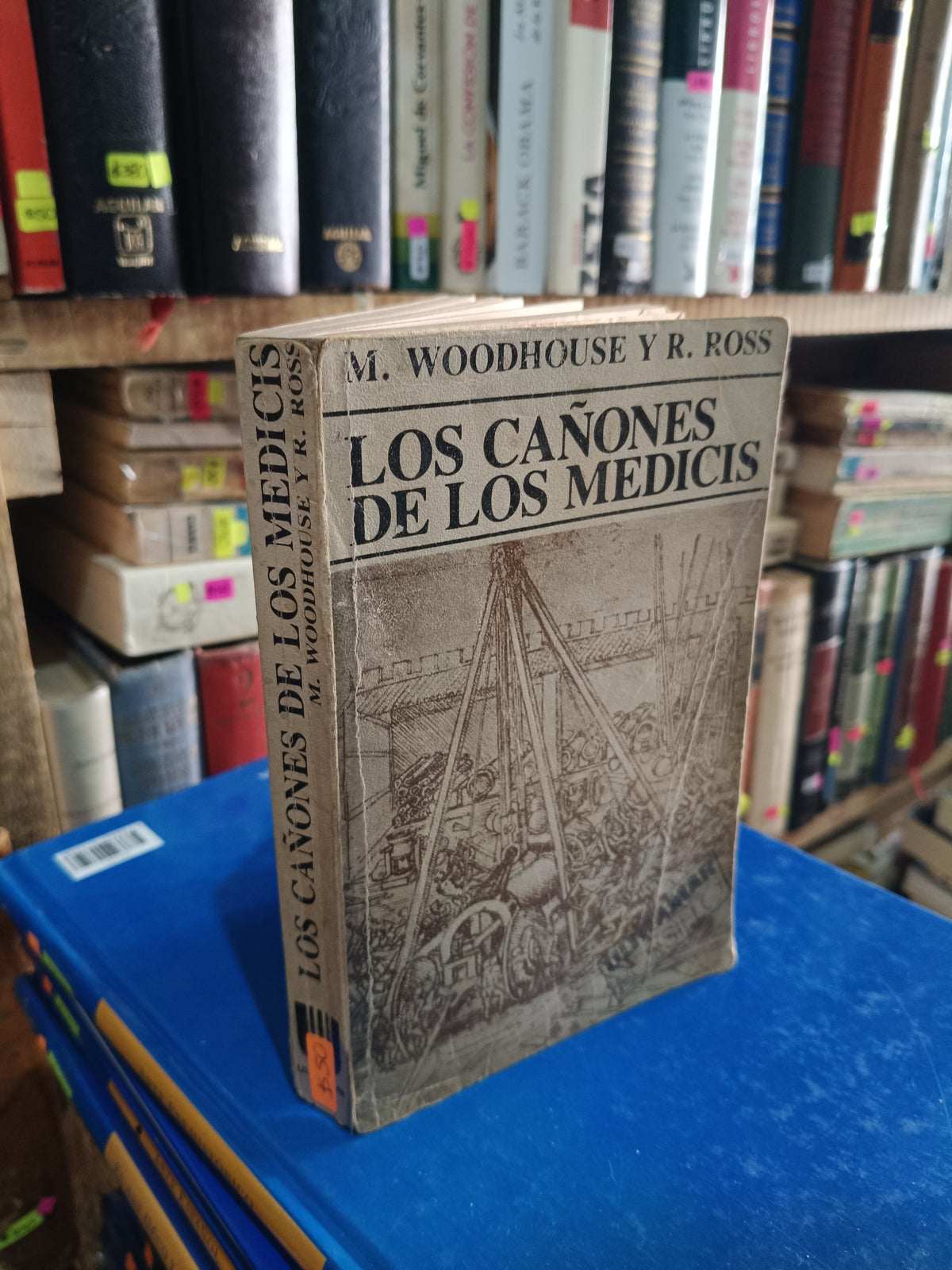 LOS CAÑONES DE LOS MEDICIS M. WOODHOUSE Y R. ROSS USADO NOVELA LITERARIO 305
