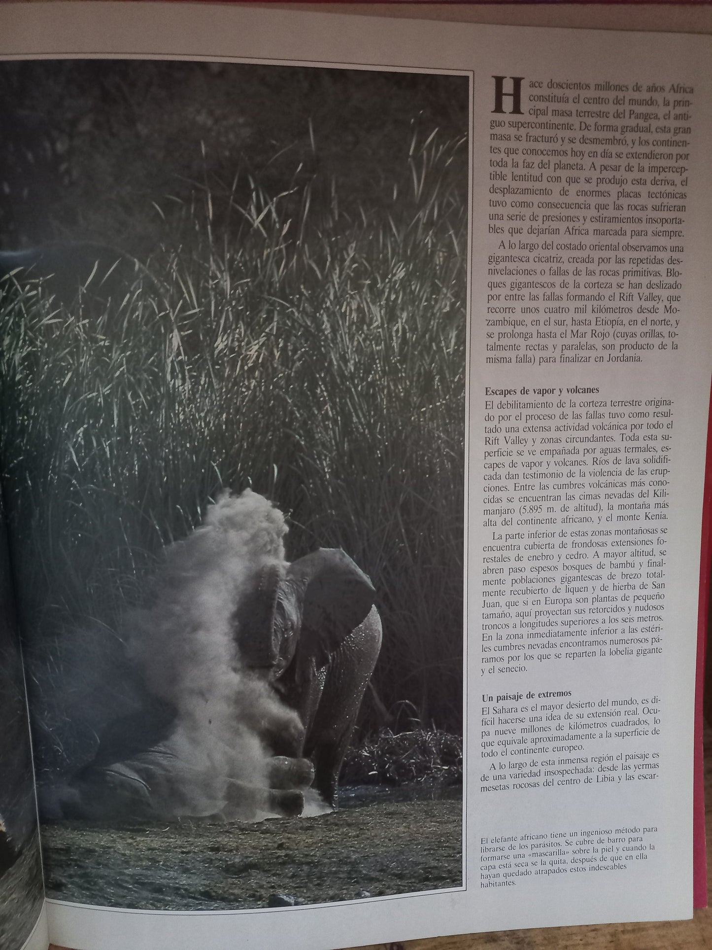 SANTUARIOS SALVAJES VOLUMEN I ATLAS DE LO EXTRAORDINARIO USADO HISTORIA LITERARIO 305