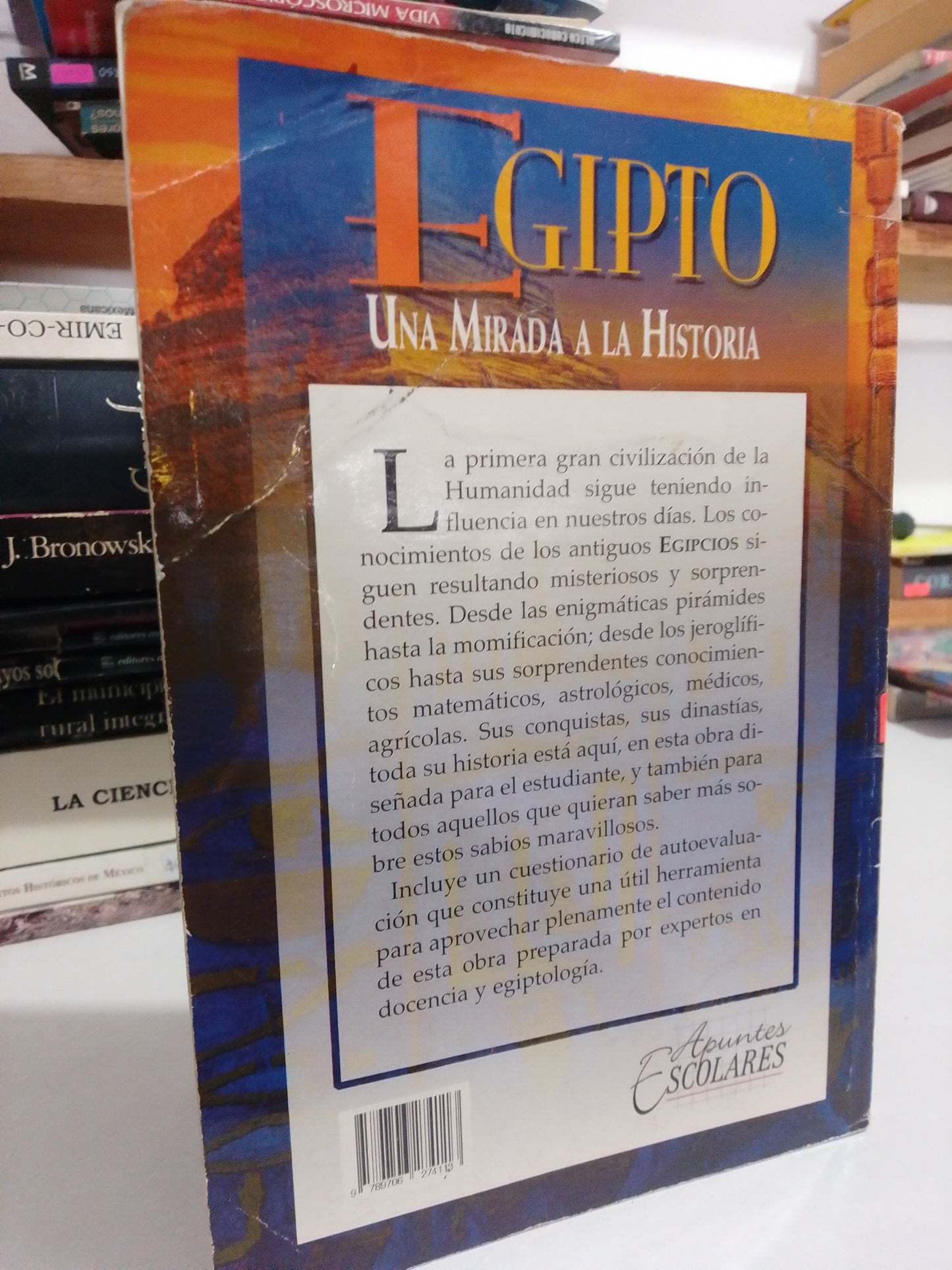UNA MIRADA A LA HISTORIA DE EGIPTO USADO HISTORIA JUÁREZ