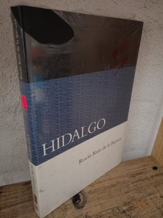 HISTORIA BREVE HIDALGO POR ROCÍO RUIZ DE LA BARRERA NUEVO LIBROS NUEVOS LITERARIOS 305