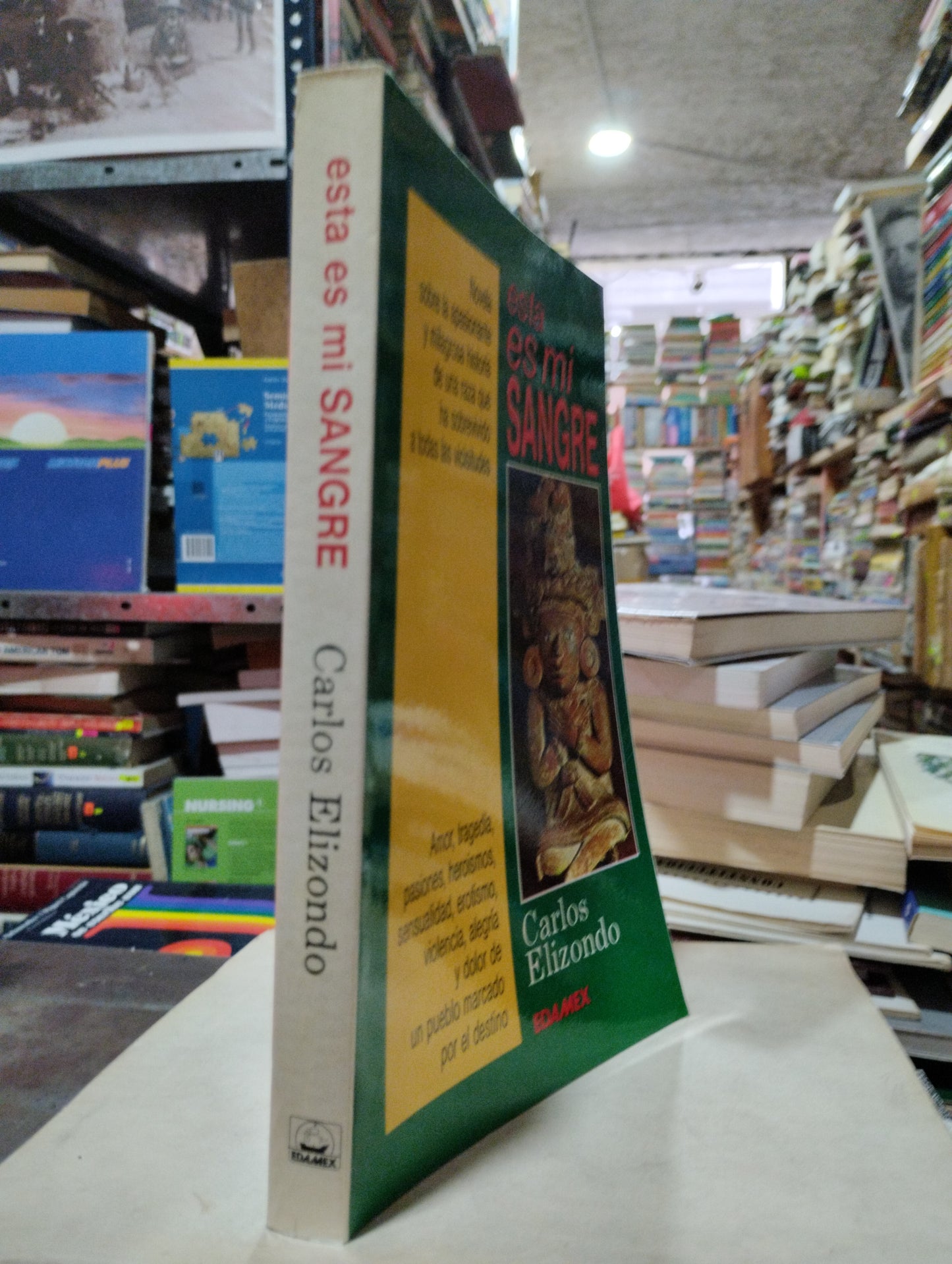 ESTA ES MI SANGRE POR CARLOS ELIZONDO USADO NOVELAS ALDAMA