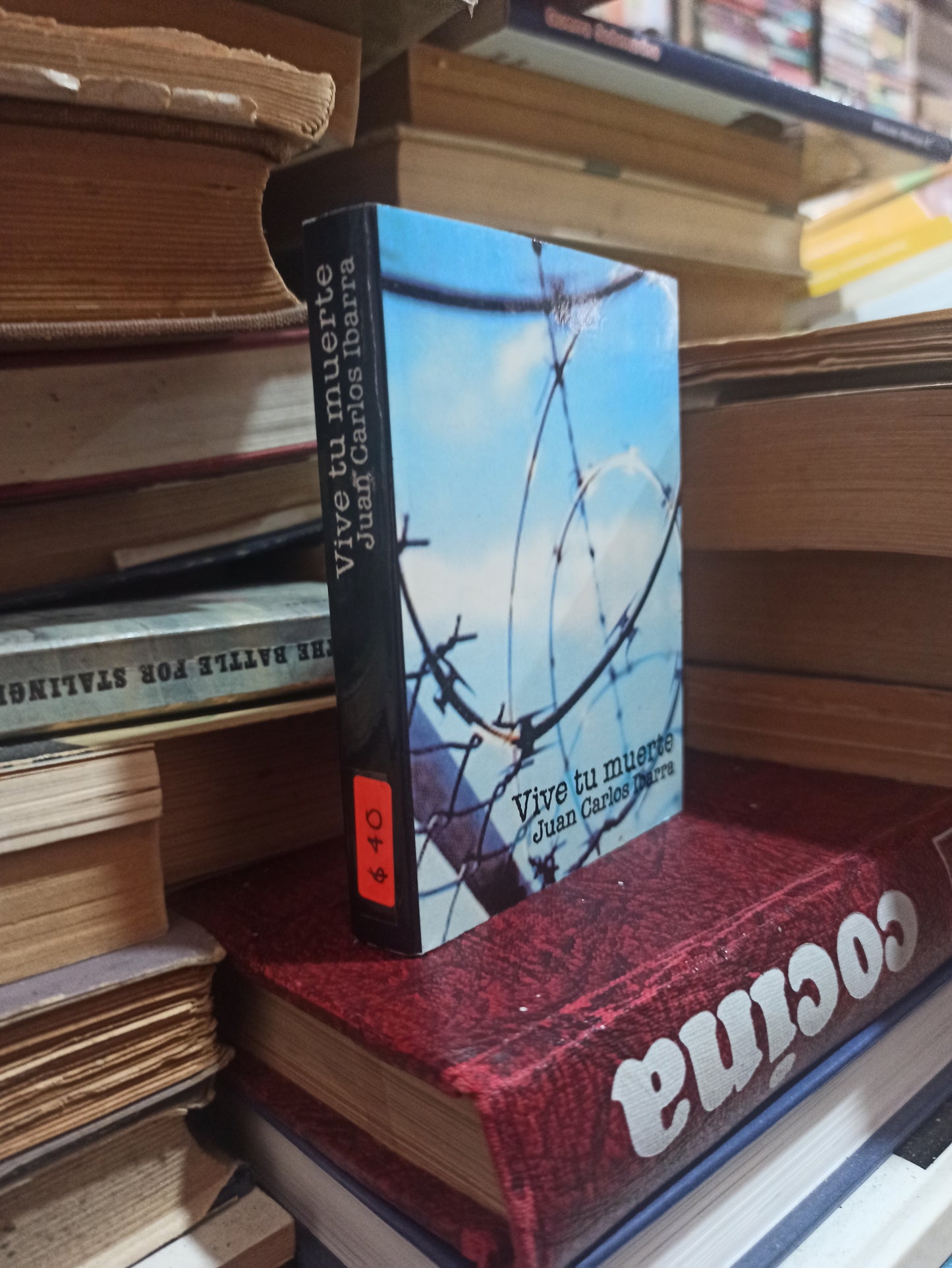 VIVE TU MUERTE POR JUAN CARLOS IBARRA USADO SUPERACIÓN PERSONAL ALDAMA