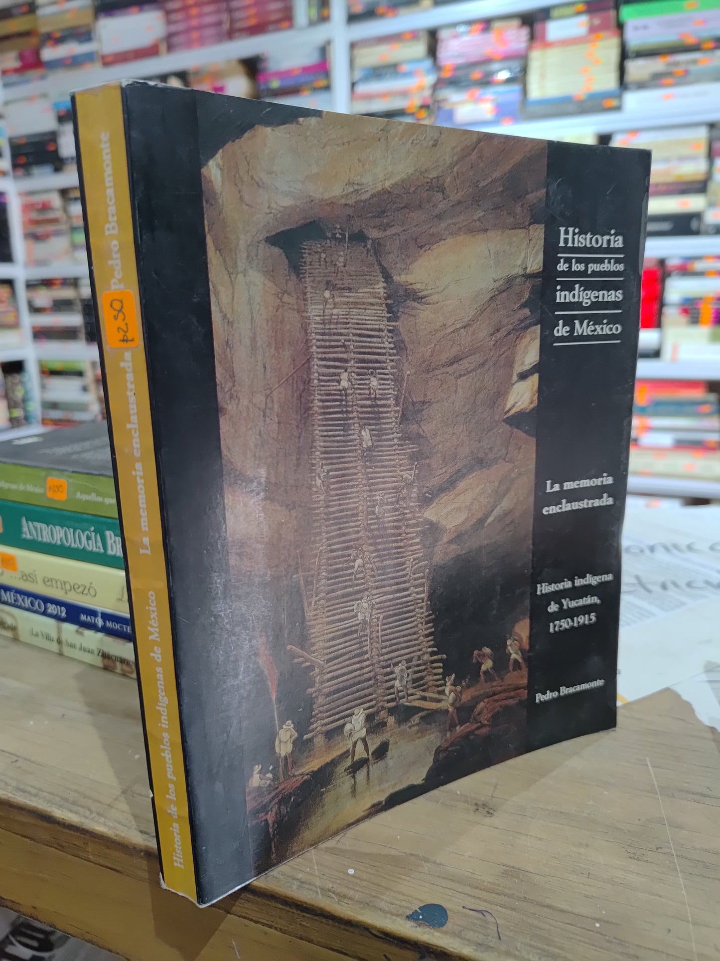 HISTORIA DE LOS PUEBLOS INDIGENAS LA MEMORIA ENCLAUSTRADA POR PEDRO BRACAMENTE USADO HISTORIA JUAREZ 515