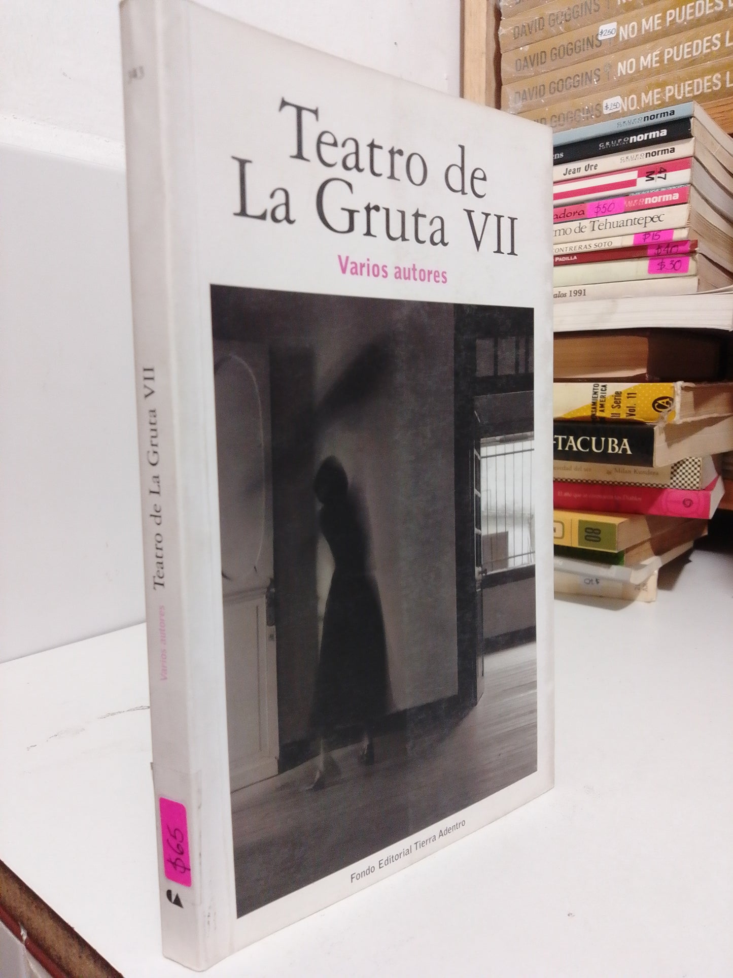 TEATRO DE LA GRUTA VII POR VARIOS AUTORES USADO NOVELA JUAREZ