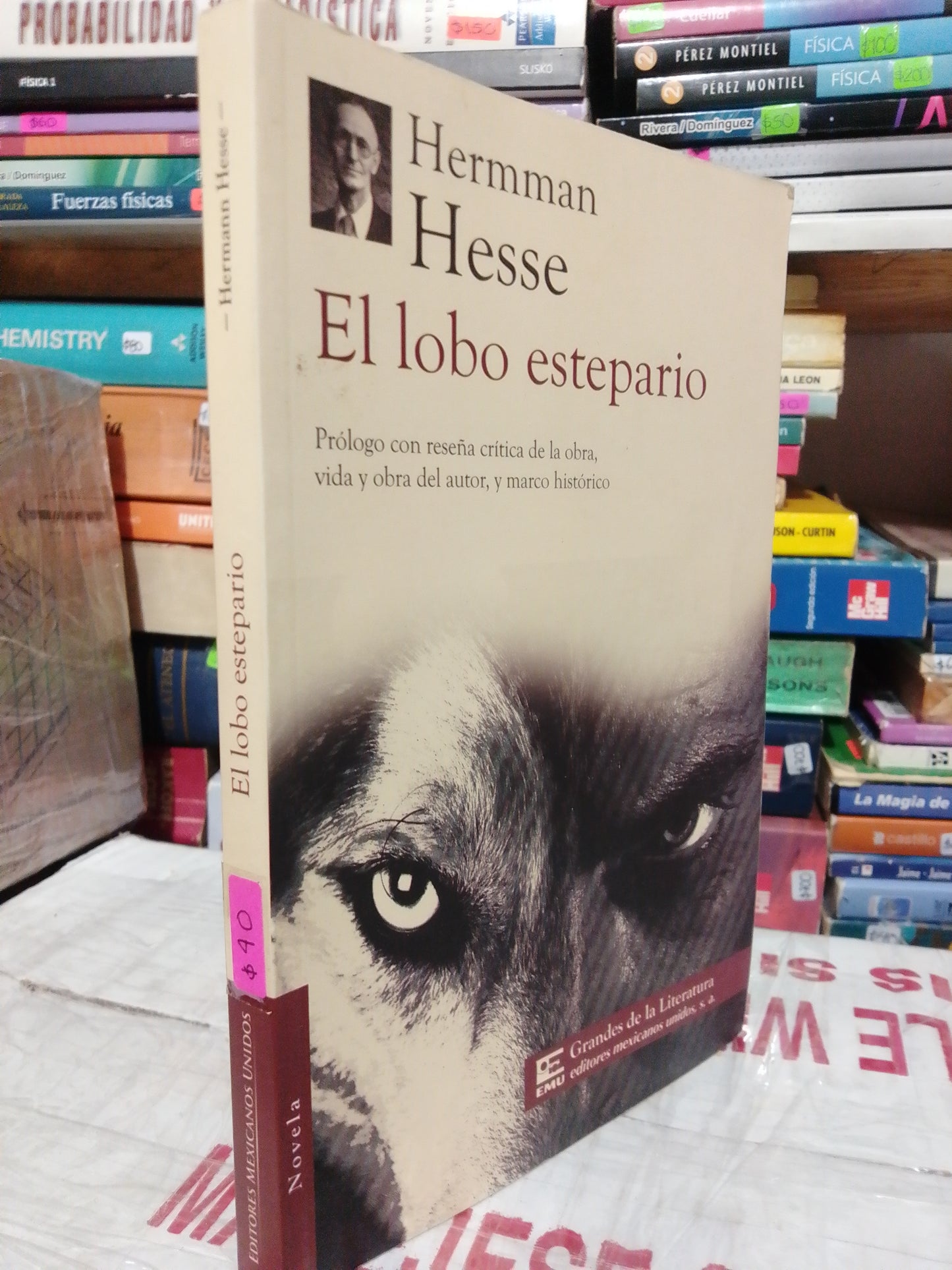 EL LOBO ESTEPARIO POR HERMMAN HESSE USADO NOVELA JUÁREZ