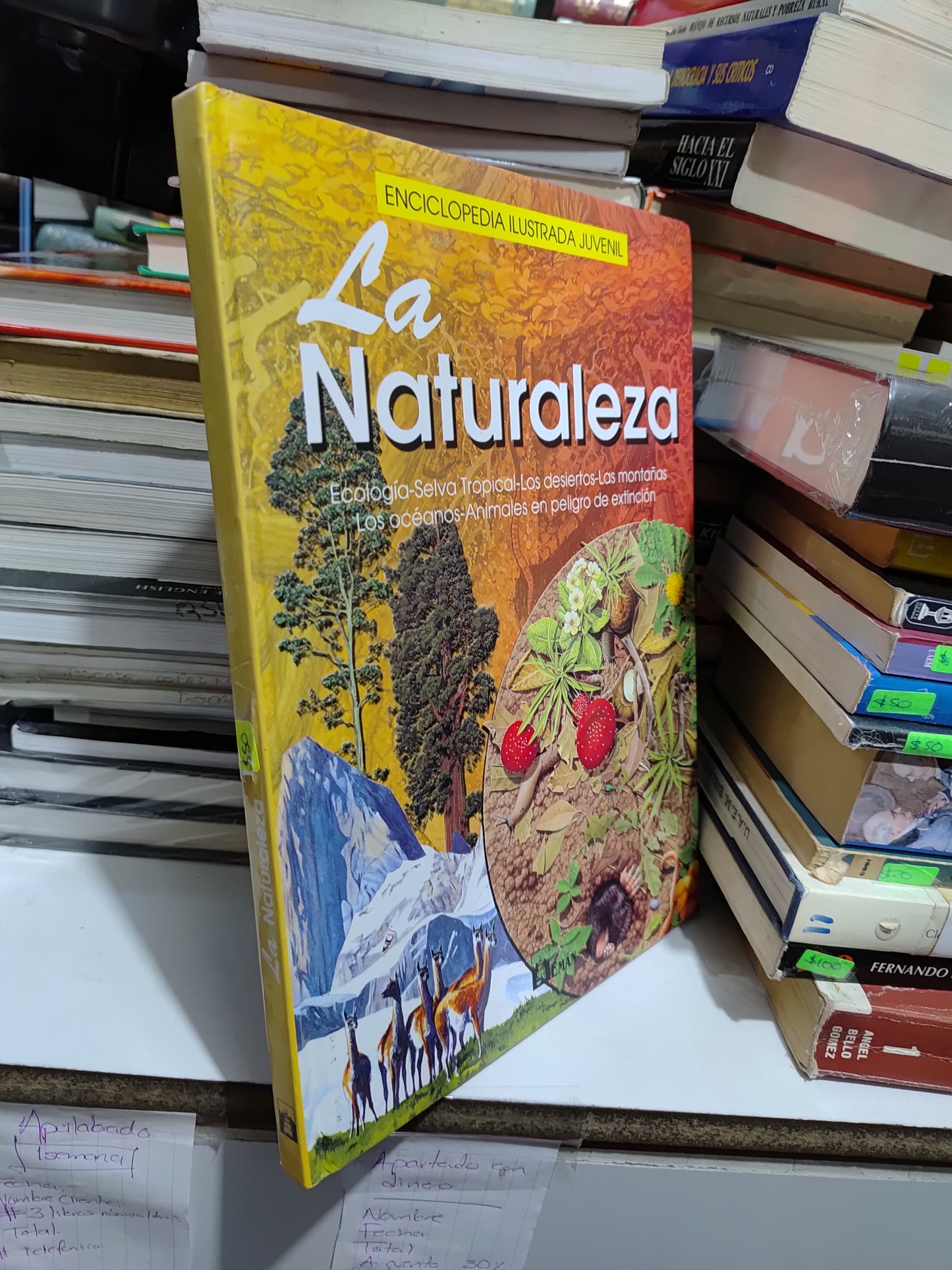 LA NATURALEZA POR EDITORIAL EMAN USADO INFANTILES JUAREZ 507