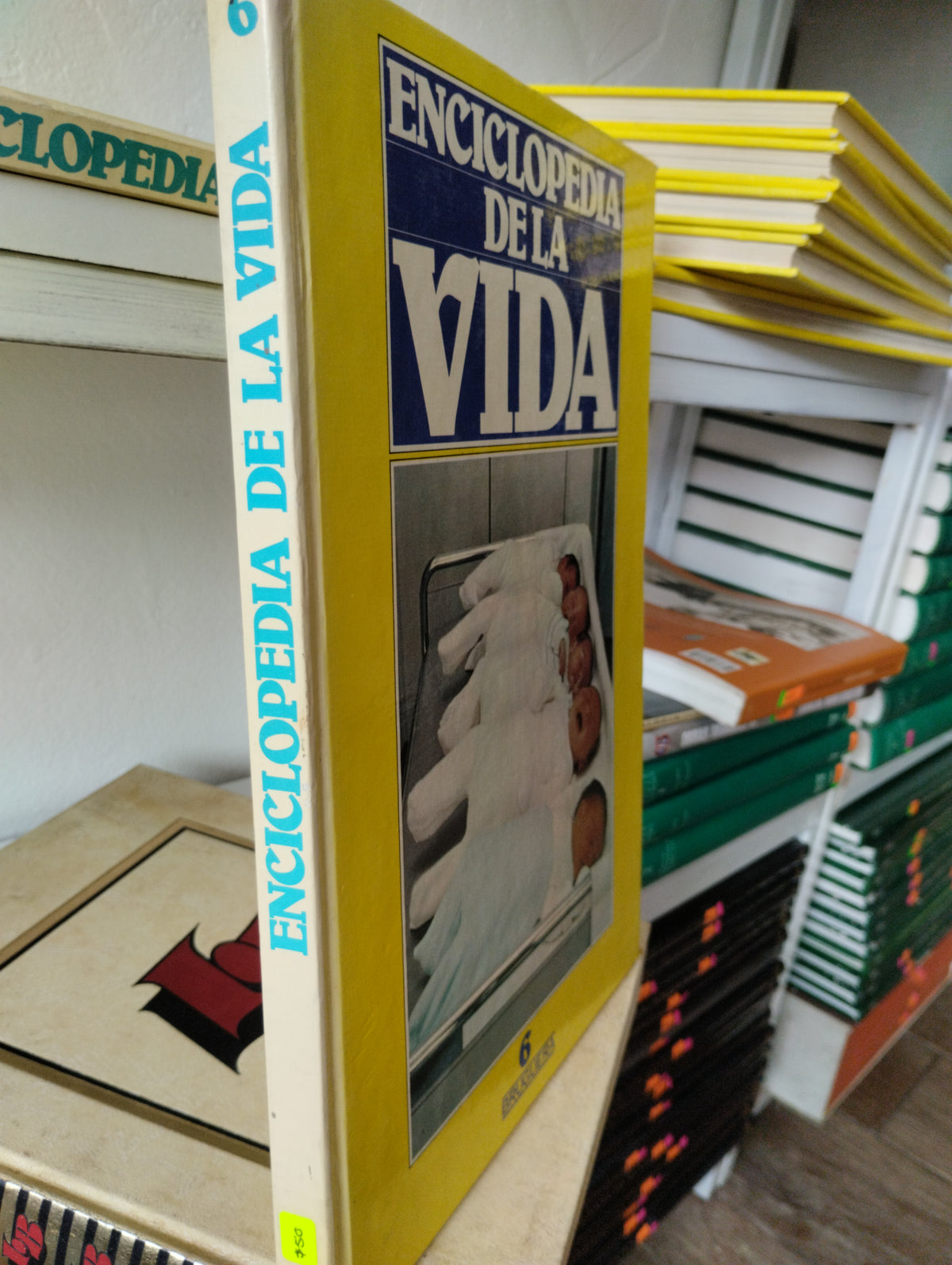 ENCICLOPEDIA DE LA VIDA 6 USADO PSICOLOGIA JUAREZ 515