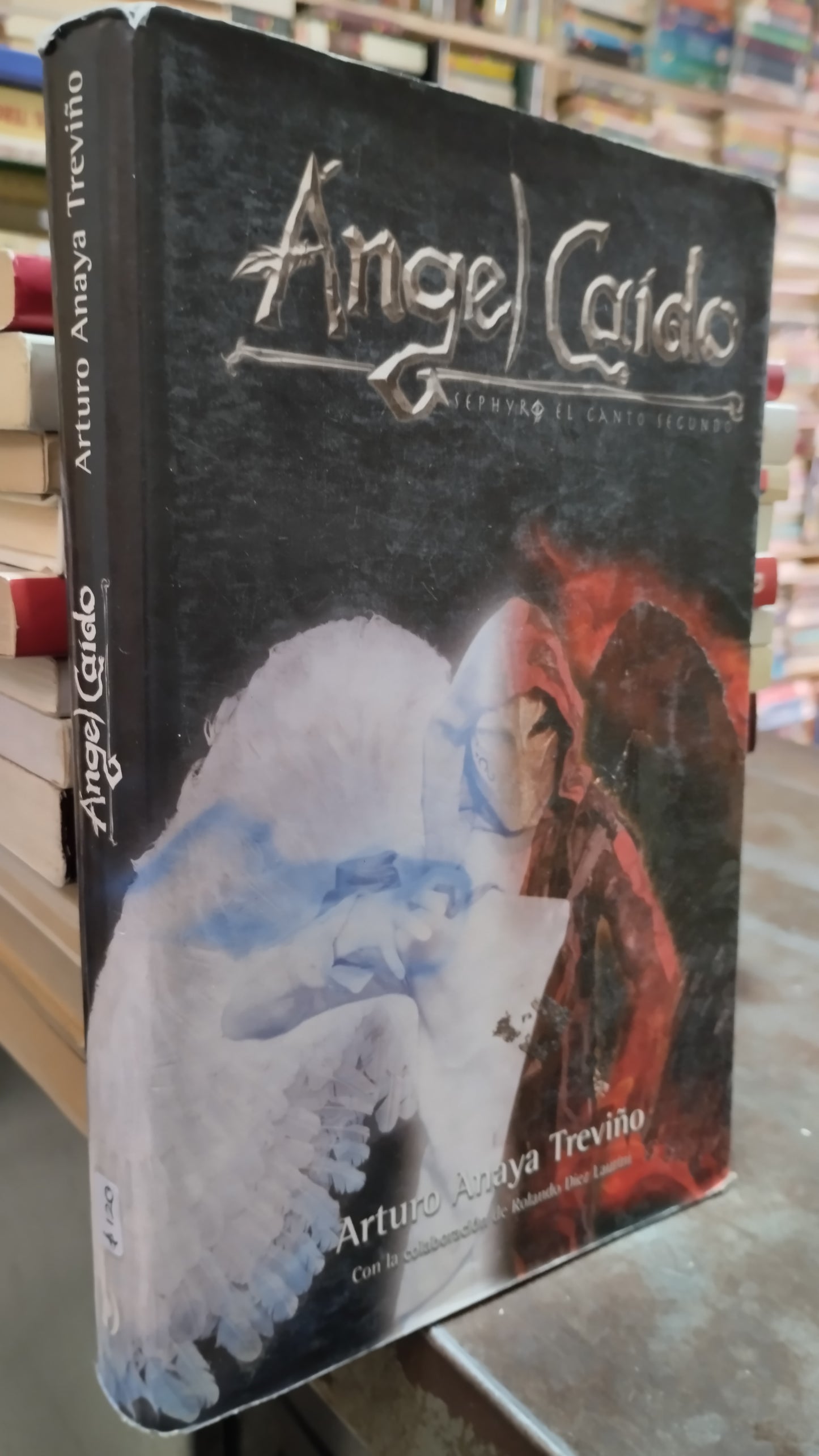 ANGEL CAIDO POR ARTURO ANAYA TREVIÑO LIBRO USADO NOVELAS ALDAMA