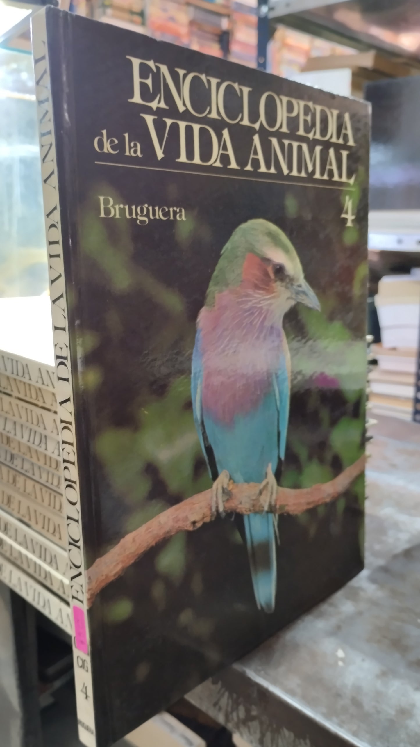 ENCICLOPEDIA DE LA VIDA ANIMAL 4 LIBRO USADO BIOLOGIA ALDAMA