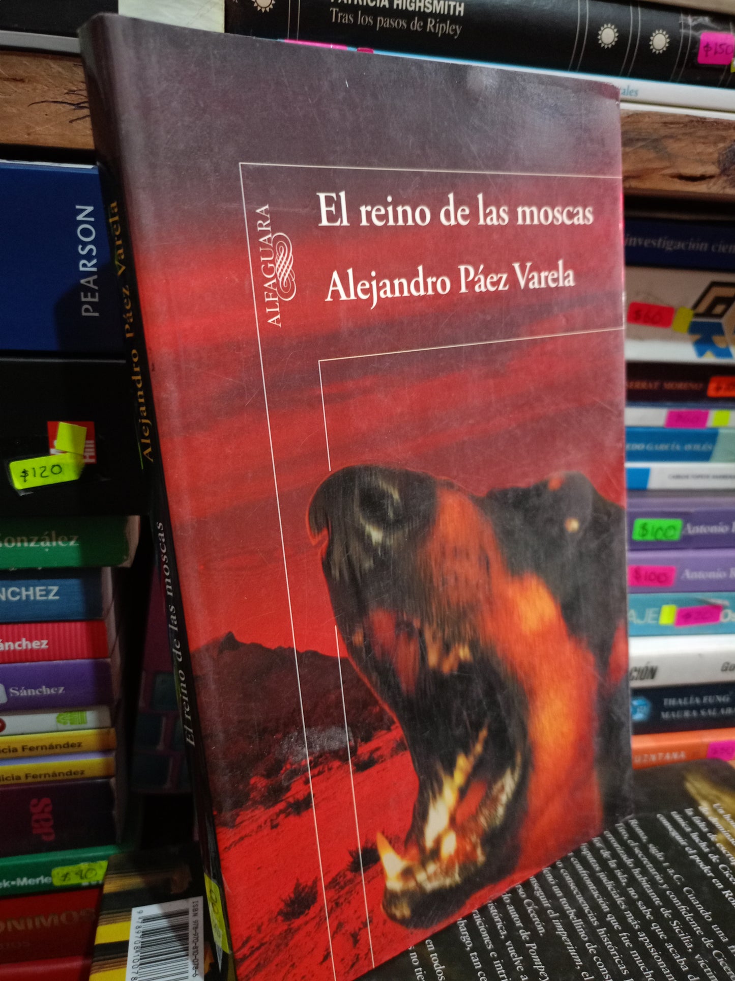 EL REINO DE LAS MOSCAS POR ALEJANDRO PEAZ VARELA USADO NOVELA LITERARIO 305