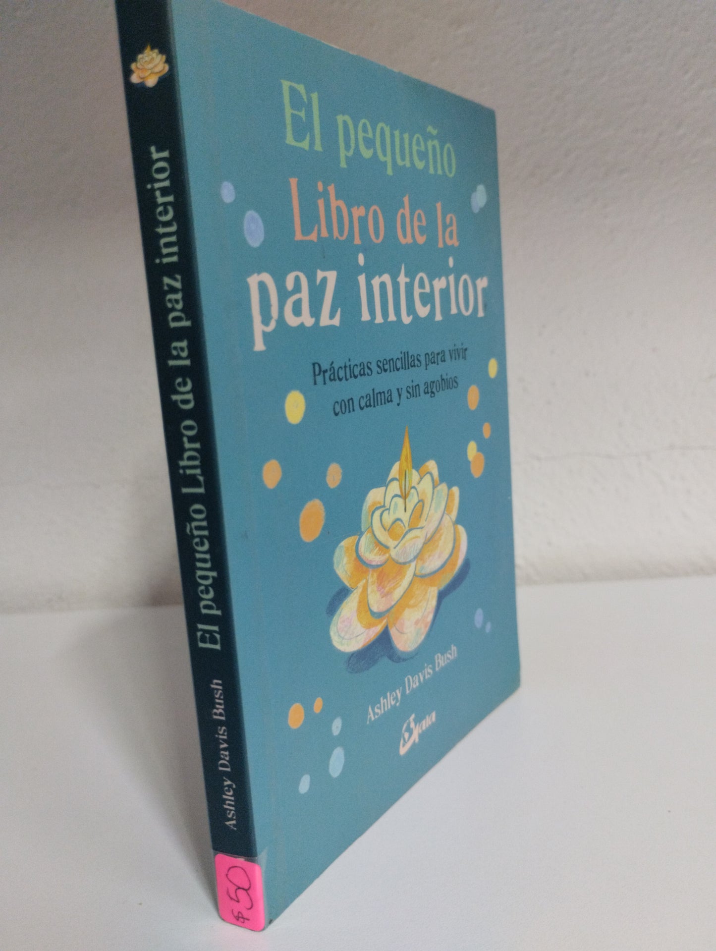 EL PEQUEÑO LIBRO DE LA PAZ INTERIOR PRACTICAS SENCILLAS PARA VIVIR CON CALMA Y SIN AGOBIOS ASHLEY DAVIS BUSH USADO SUPERACION PERSONAL JUAREZ 515