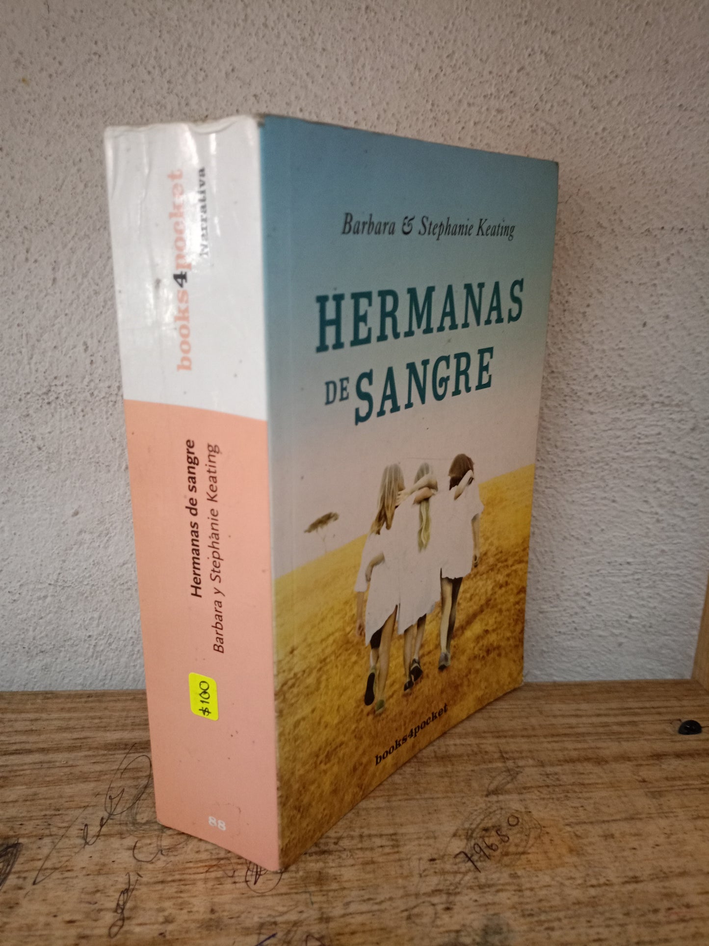 HERMANAS DE SANGRE BARBARA STEPHANIE KEATING USADOS NOVELA LITERARIO 305