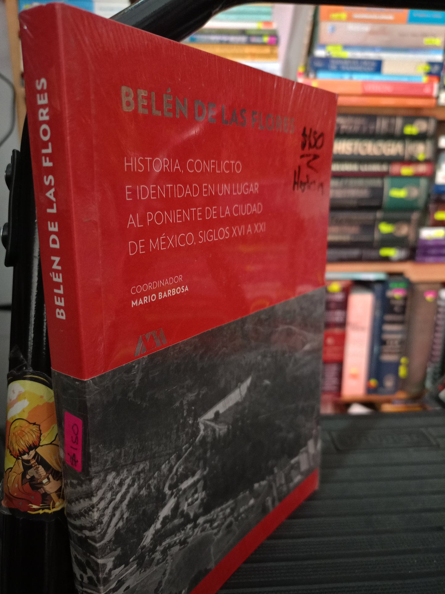 HISTORIA CONFLICTO E IDENTIDAD EN UB LUGAR AL PONIENTE DE LA CIUDAD DE MEXICO SIGLOS XVI A XXI BELEN DE LAS FLORES NUEVO HISTORIA LITERARIO 305