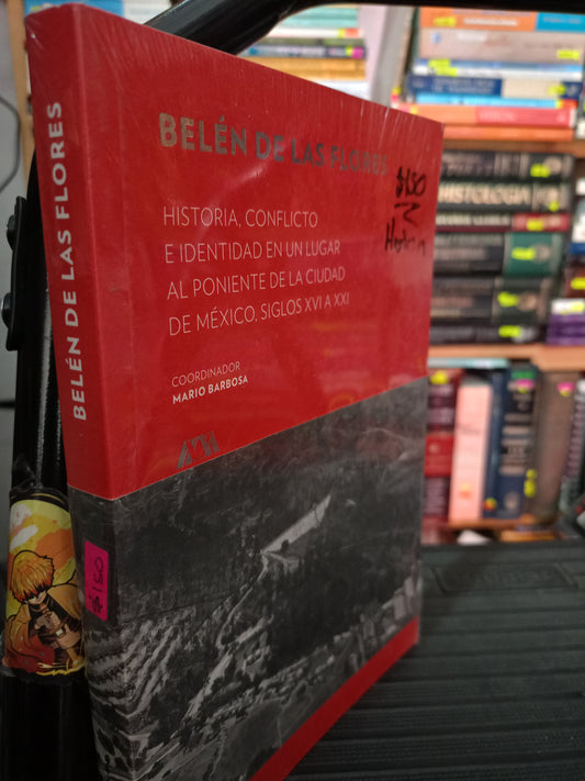 HISTORIA CONFLICTO E IDENTIDAD EN UB LUGAR AL PONIENTE DE LA CIUDAD DE MEXICO SIGLOS XVI A XXI BELEN DE LAS FLORES NUEVO HISTORIA LITERARIO 305