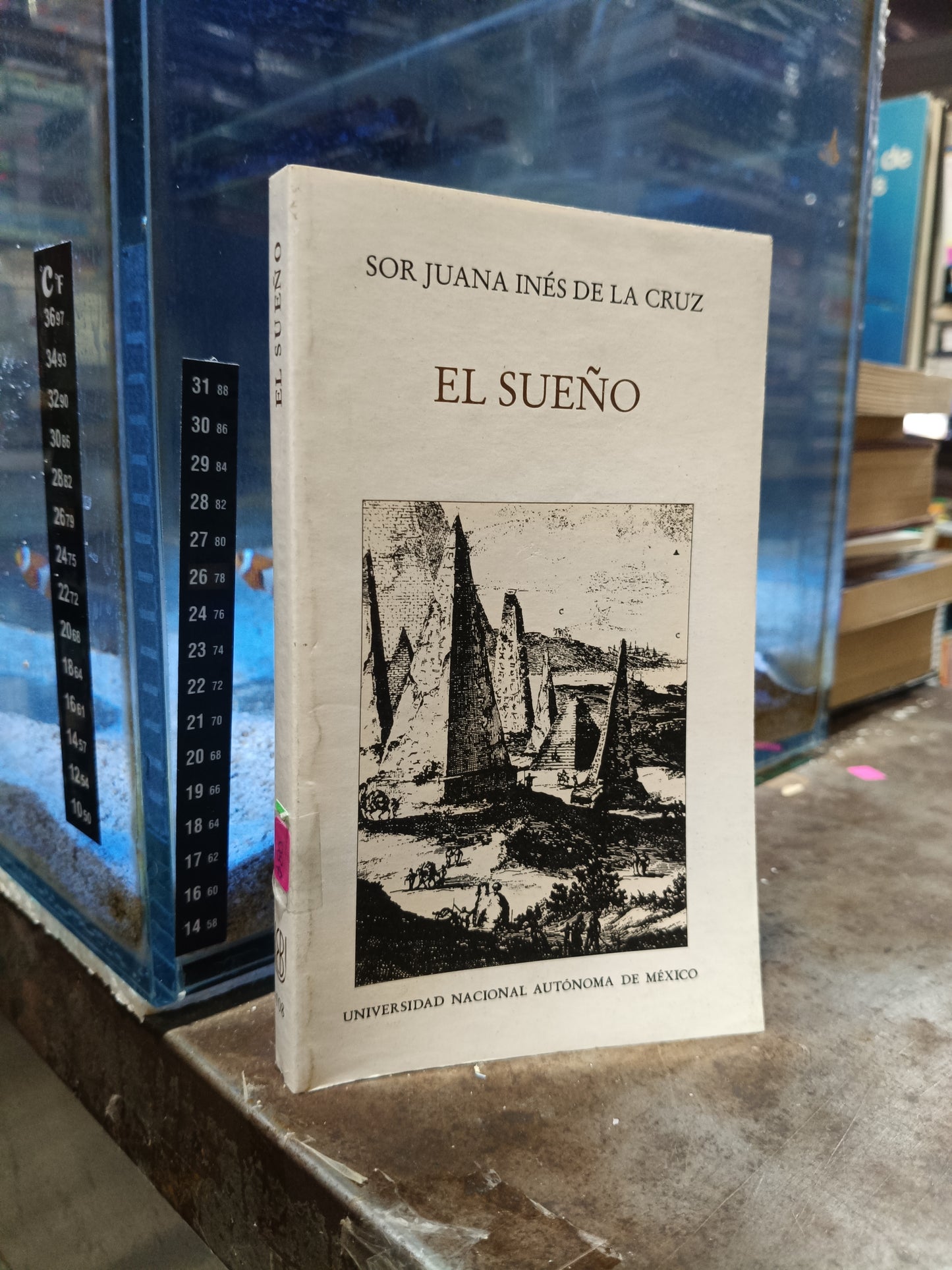 EL SUEÑO POR SOR JUANA INES DE LA CRUZ USADO POESÍA ALDAMA