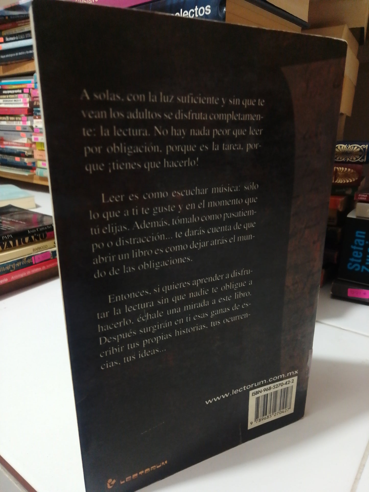 LEO , LUEGO ESCRIBO POR MONICA LAVIN USADO NOVELA JUÁREZ