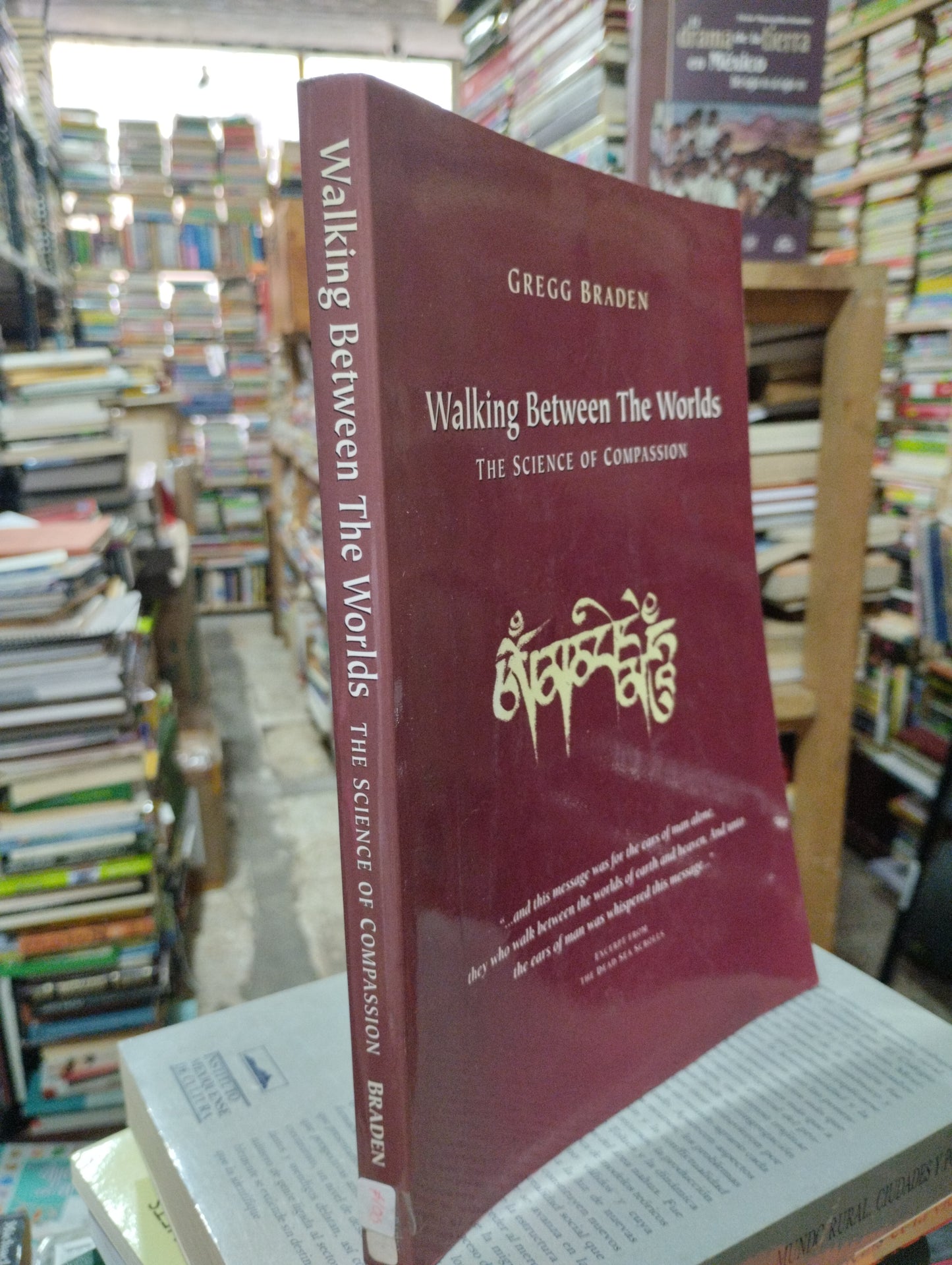 WALKING BETWEEN THE WORLDS THE SCIENCE OF COMPASSION  POR GREGG BRADEN USADO IDIOMAS ALDAMA