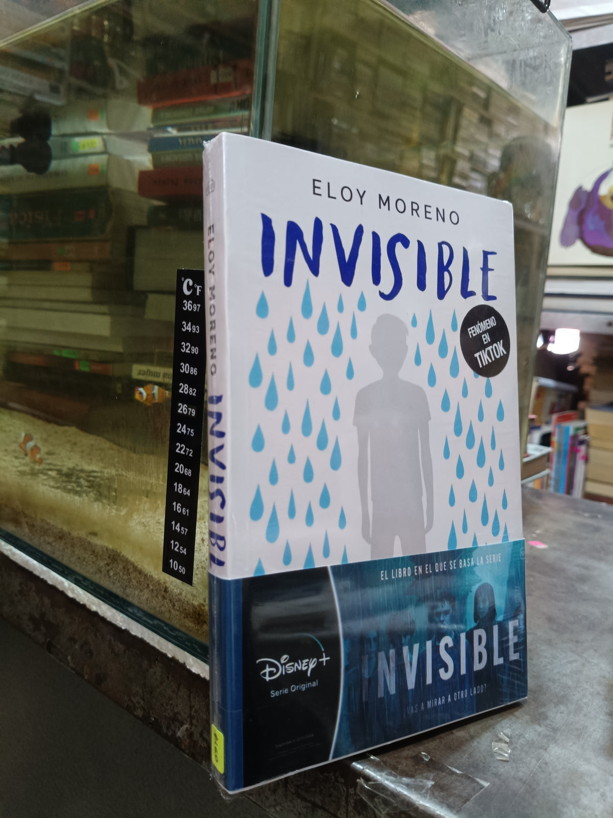 INVISIBLE POR ELOY MORENO USADO NOVELA ALDAMA