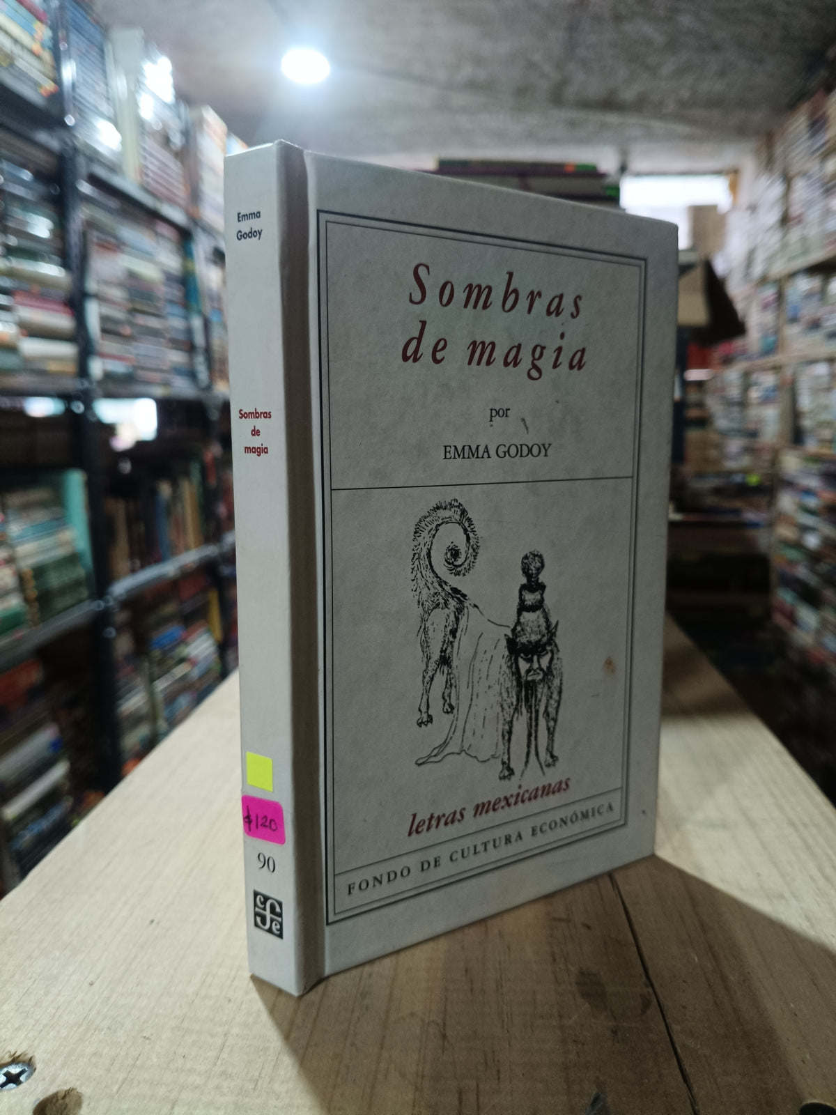 SOMBRAS DE MAGIA POR EMMA GODOY USADO NOVELA ALDAMA