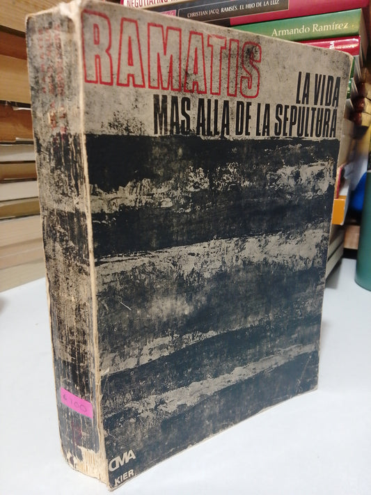 LA VIDA MÁS ALLÁ DE LA SEPULTURA POR RAMATIS USADO NOVELA JUÁREZ