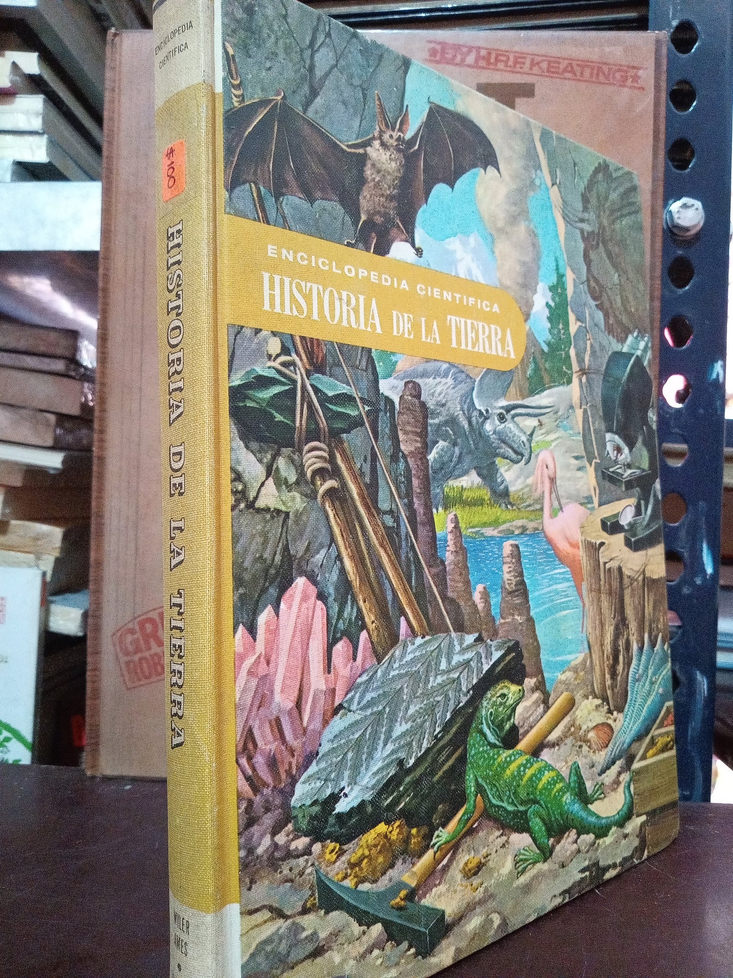 ENCICLOPEDIA CIENTIFICA USADO CIENCIA LITERARIO 305