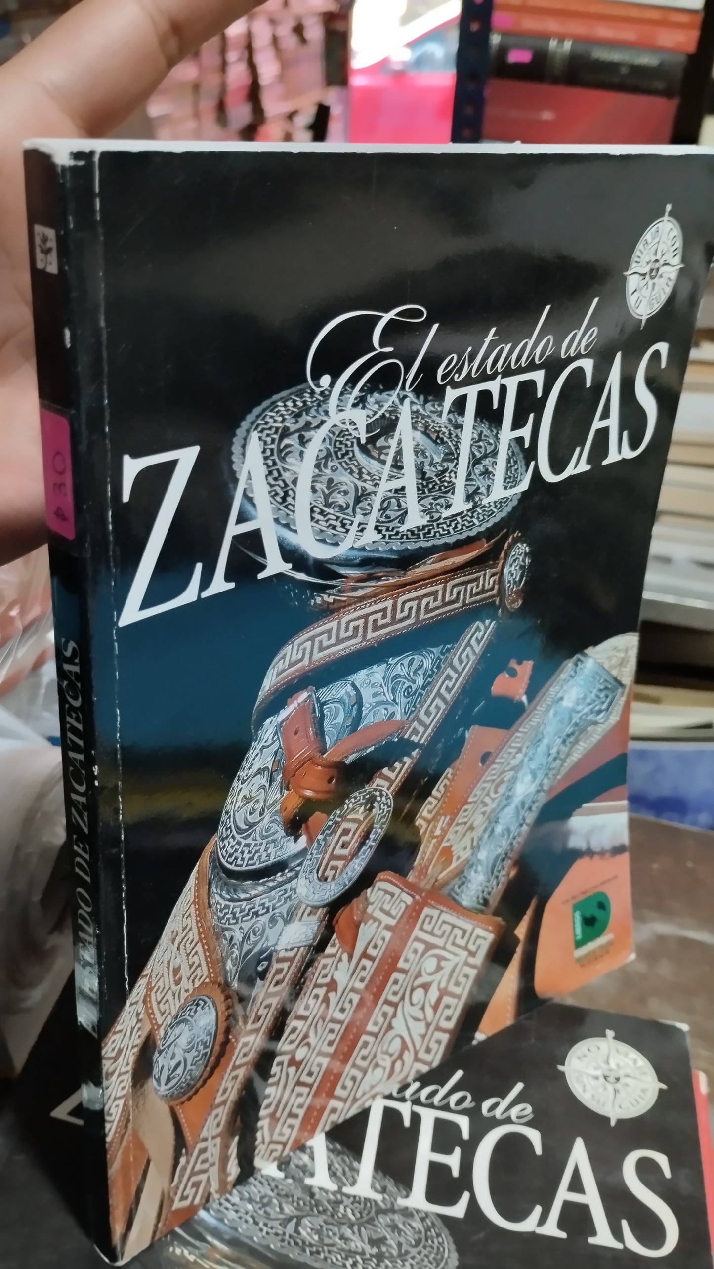 EL ESTADO DE ZACATECAS LIBRO USADO GEOGRAFÍA ALDAMA