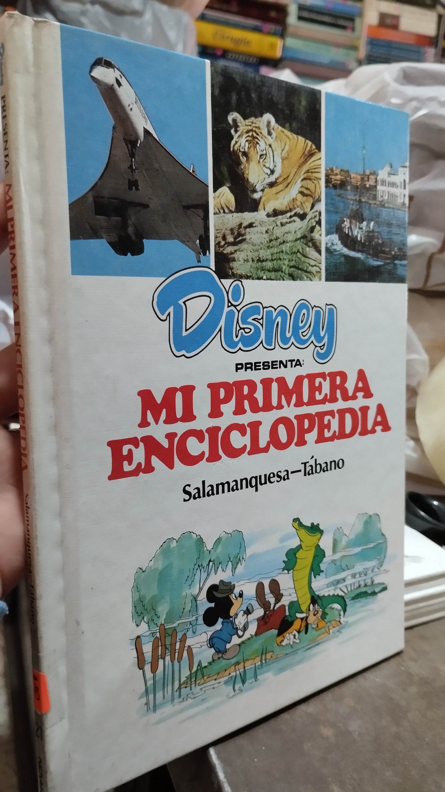 MI PRIMERA ENCICLOPEDIA SALAMANQUESA TABANO LIBRO USADO INFANTIL ALDAMA