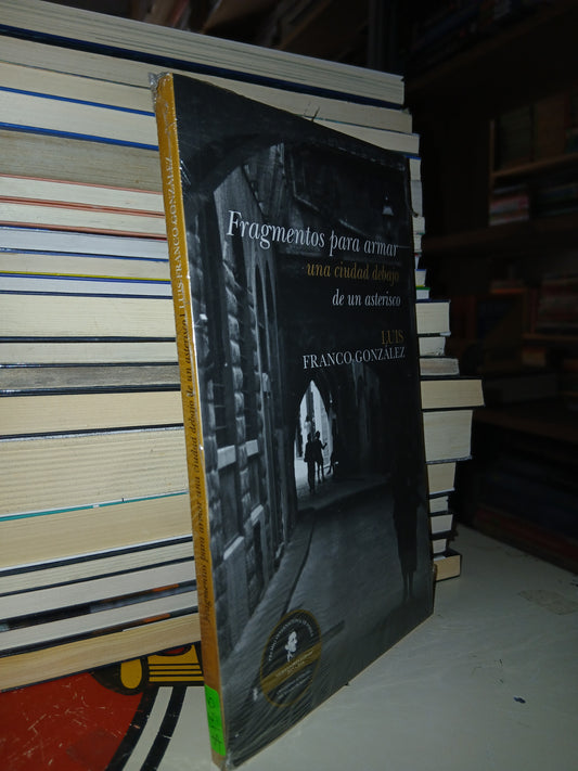 FRAGMENTOS PARA ARMAR UNA CIUDAD DEBAJO DE UN ASTERISCO POR LUIS FRANCO GONZÁLEZ USADO NOVELA LITERARIO 207