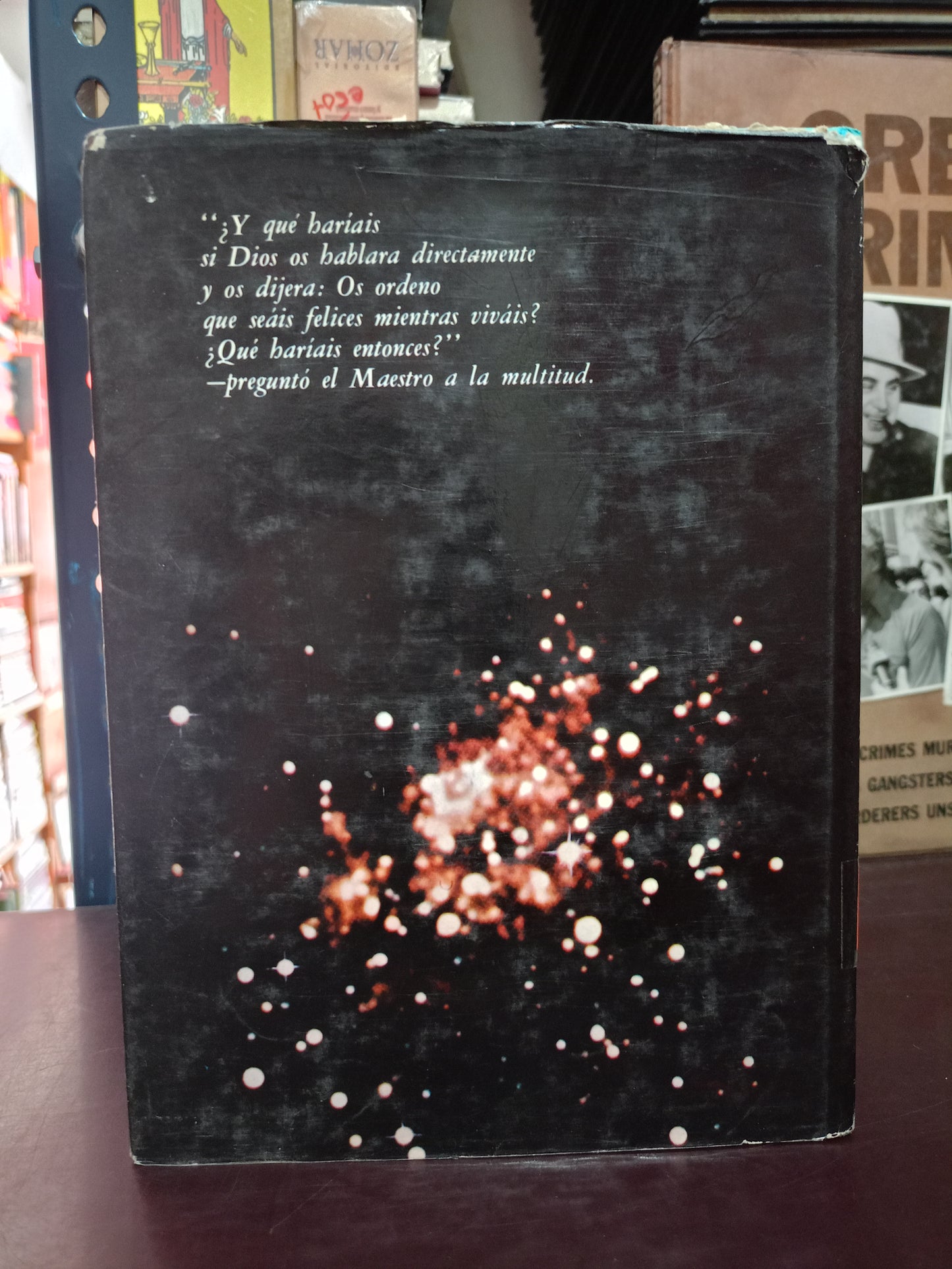 ILUSIONES POR RICHARD BACH USADO NOVELA LITERARIO 305