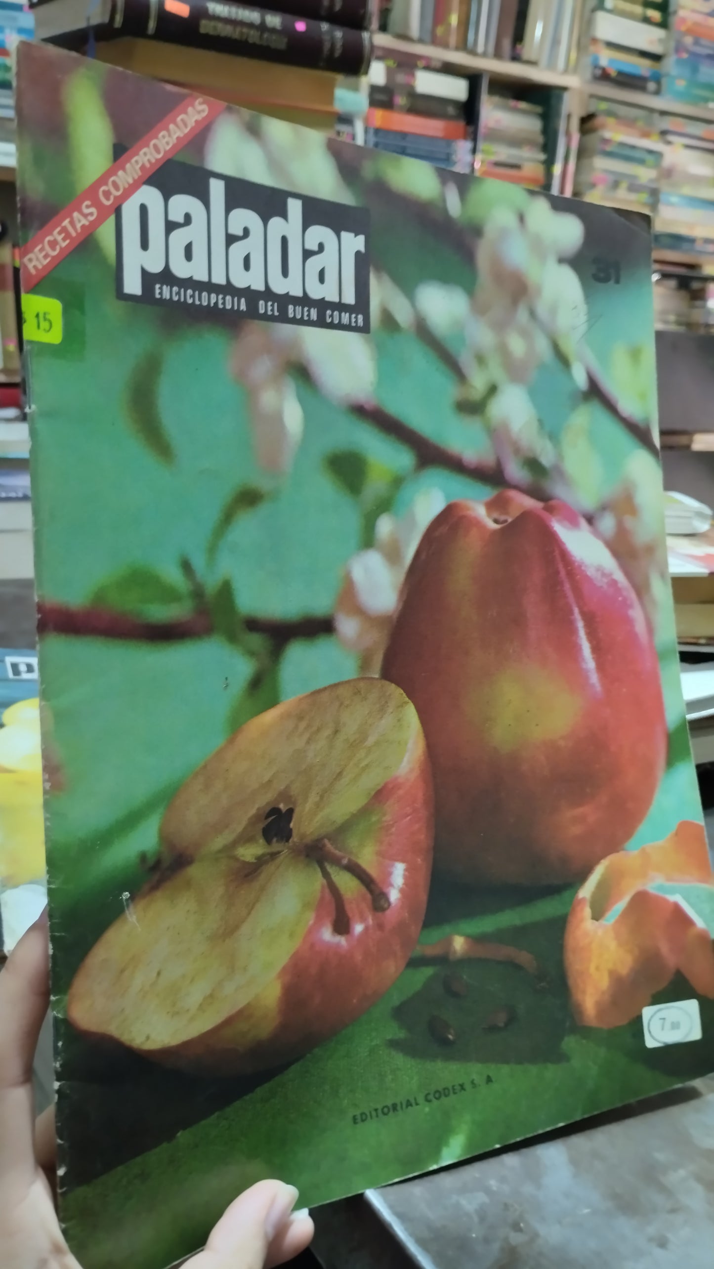 PALADAR RECETAS COMPROBADAS 31 LIBRO USADO COCINA ALDAMA