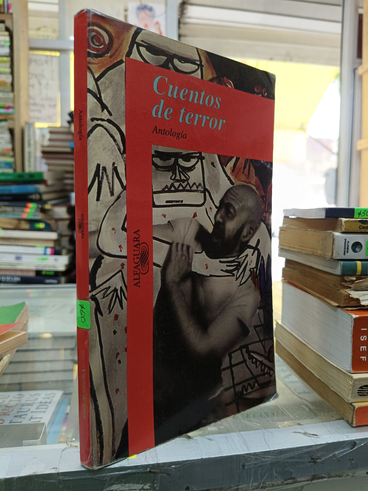 CUENTOS DE TERROR ANTOLOGIA USADO NOVELA JUAREZ 507
