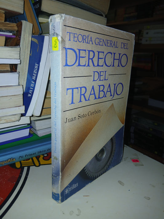 TEORÍA GENERAL DEL DERECHO DEL TRABAJO POR JUAN SOTO CERBÓN USADO DERECHO LITERARIO 207