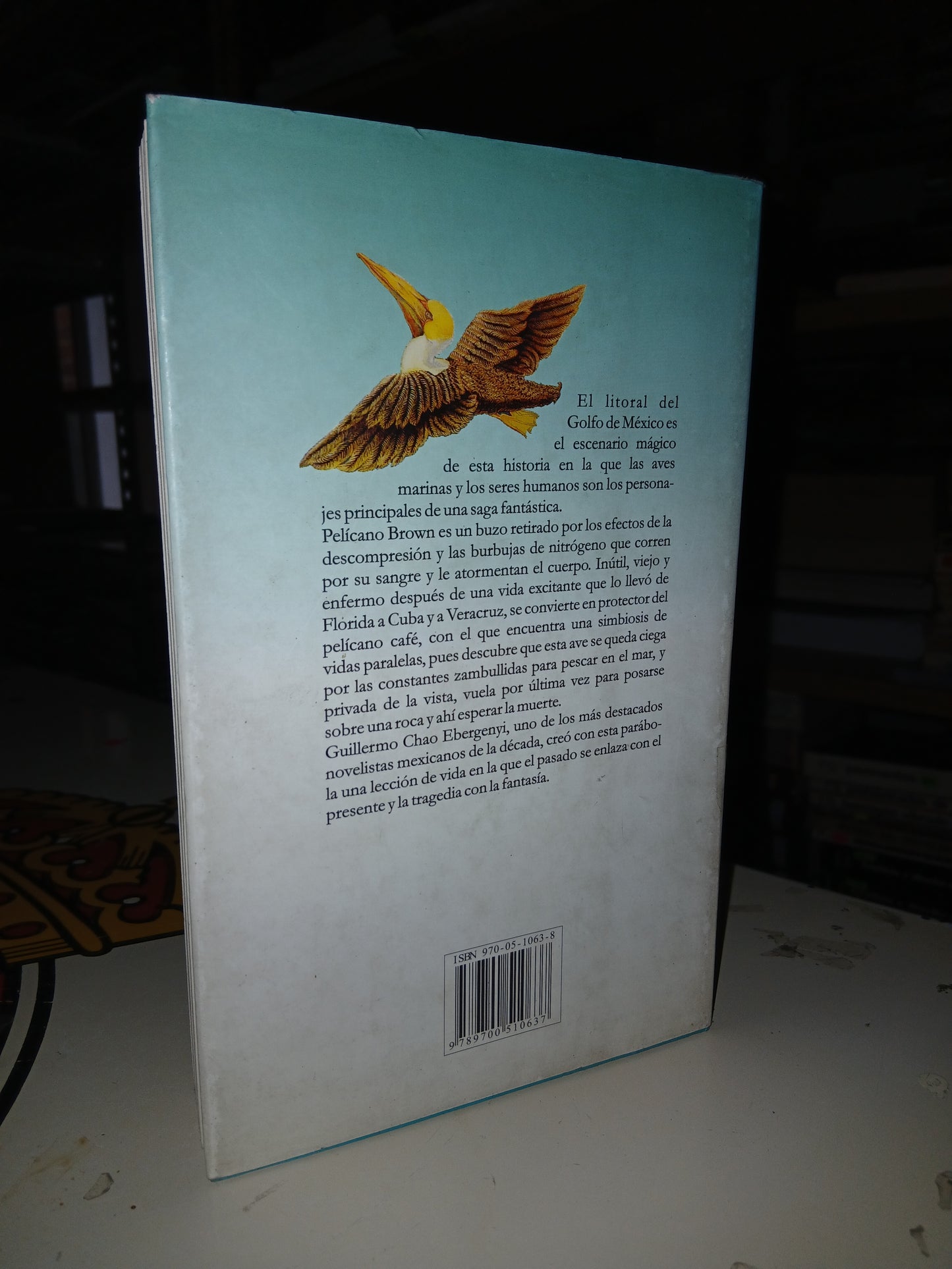 PELÍCANO BROWN POR GUILLERMO CHAO EBERGENYI USADO NOVELA LITERARIO 207