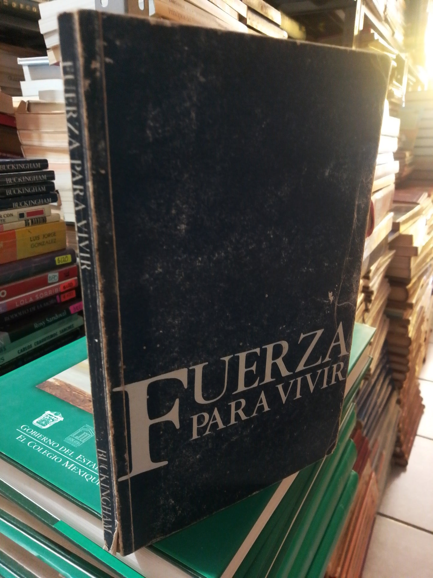 FUERZA PARA VIVIR POR POR JAMIE BUCKINGHAM USADO SUP.PERSONAL JUÁREZ