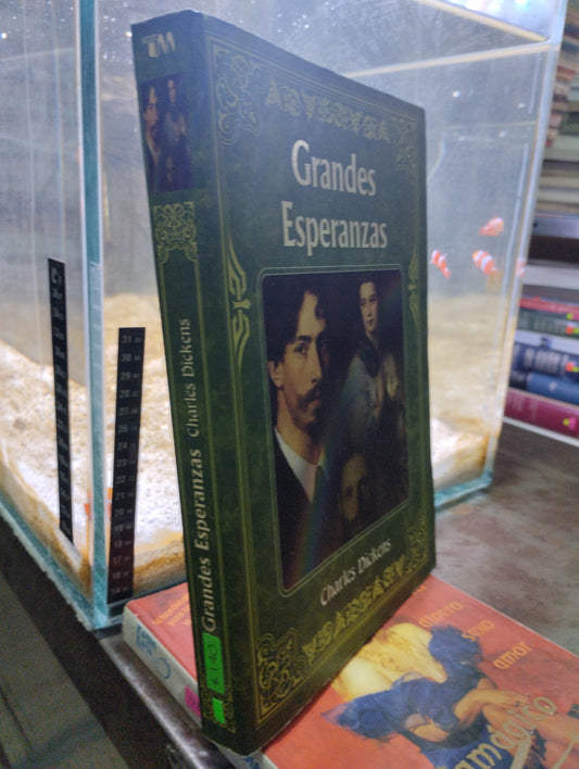 GRANDES ESPERANZAS POR CHARLES DICKENS USADO NOVELAS ALDAMA